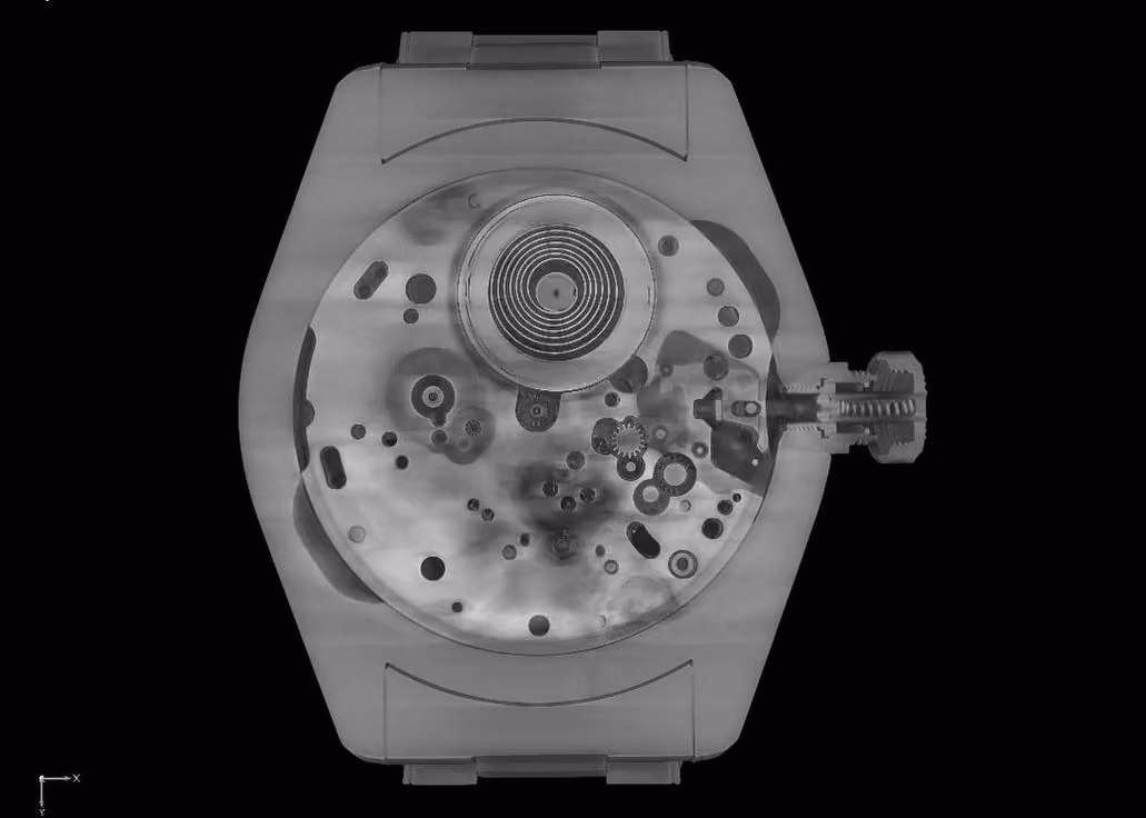 CT scan of an assembled watch