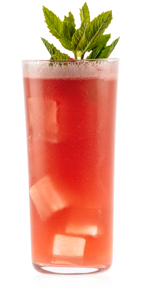 Watermelon Cooler