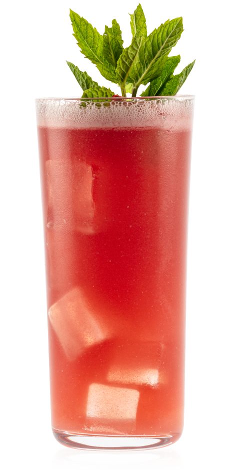 Watermelon Cooler