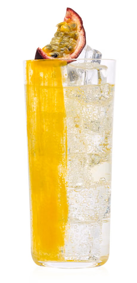 Kombucha Soda