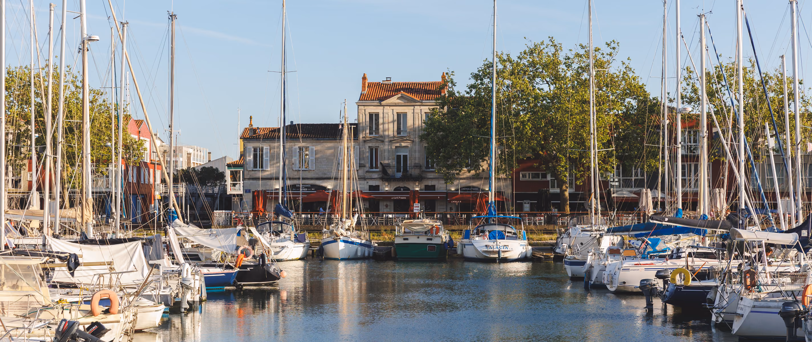 Sailboats docked in a calm harbor with buildings and trees in the background on a sunny day.