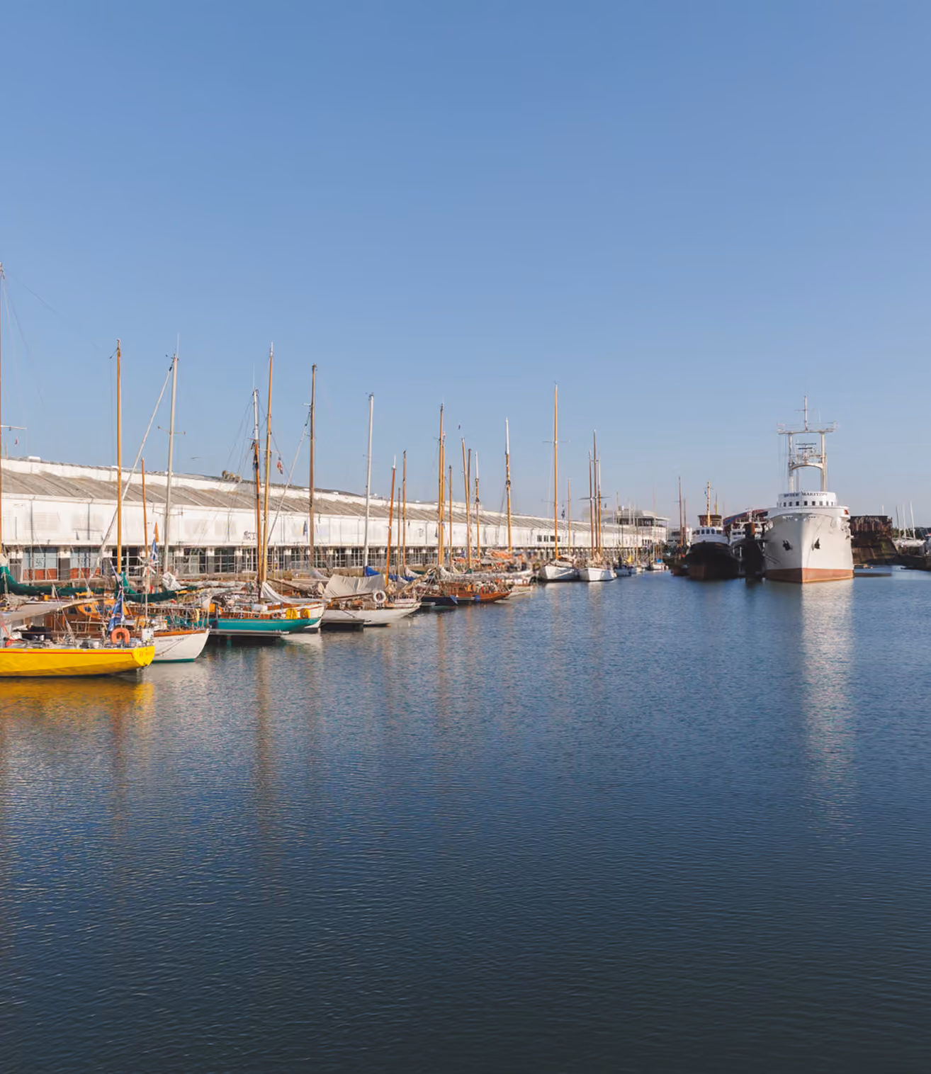 Various sailboats and yachts moored in a calm harbor under a clear blue sky.