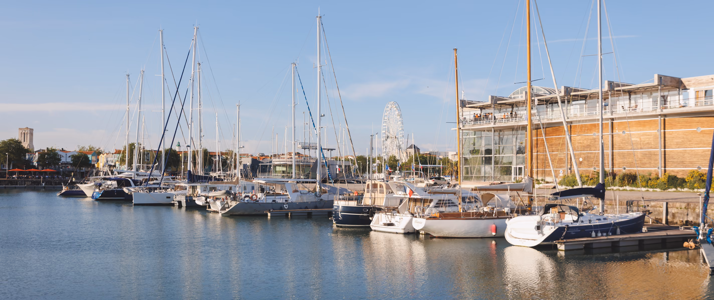 Sailboats docked in a calm marina with buildings and a Ferris wheel in the background under a clear sky.