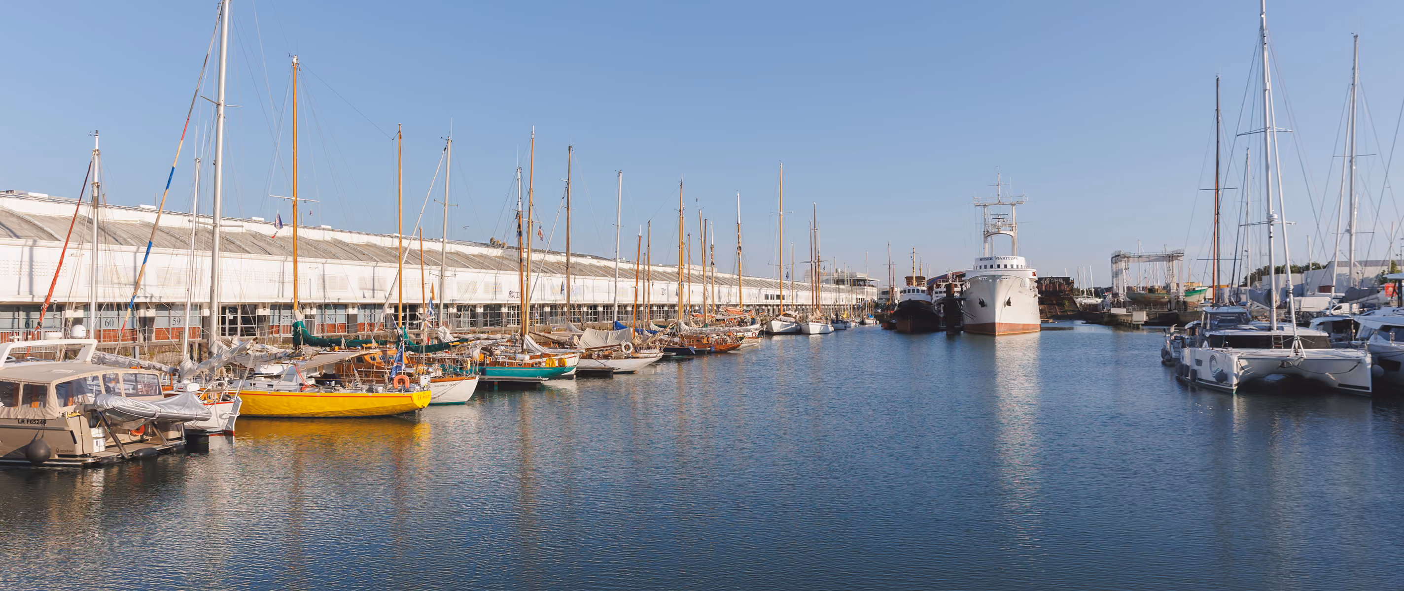 Many sailboats and yachts docked along a calm harbor with a clear blue sky above.