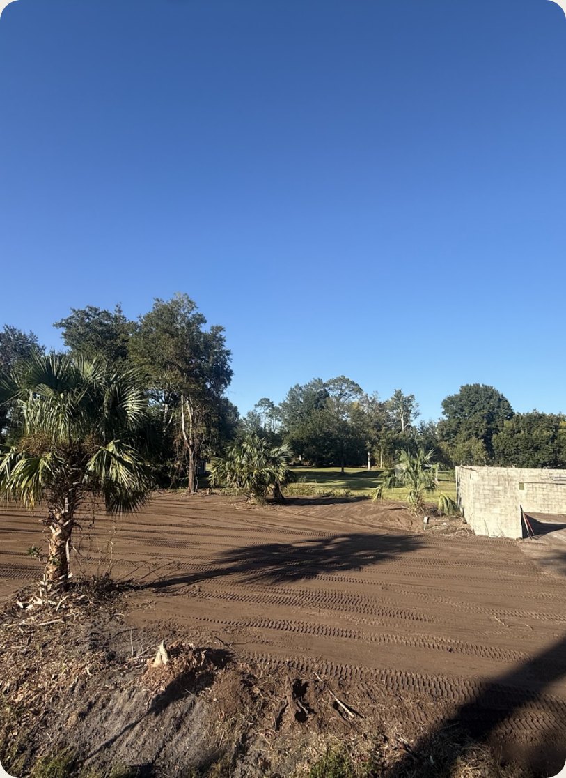 Ground cleared among palmettos with concrete blocks set for a pad