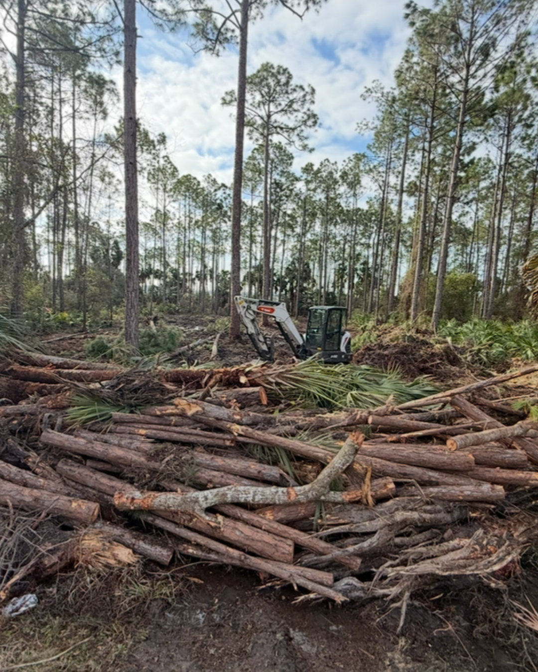 Cleared timber stacked beside a newly cut driveway