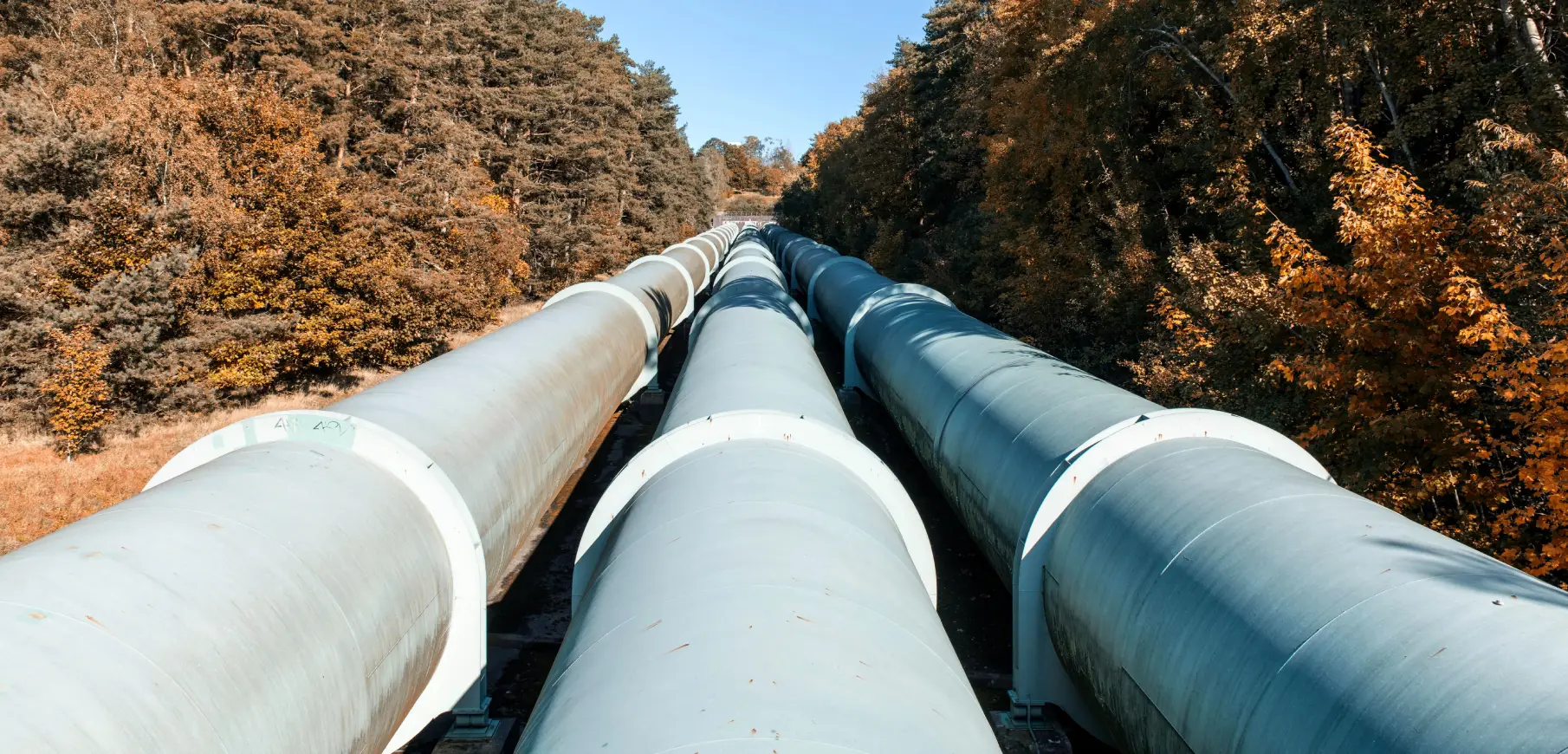 The West Coast Oil Pipeline Just Cleared Its First Hurdle. Here's the Window That Opens Before It's Built.