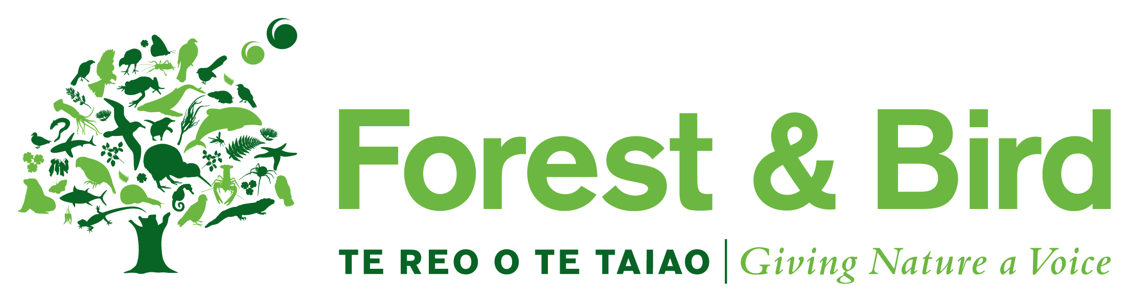 Forest and Bird