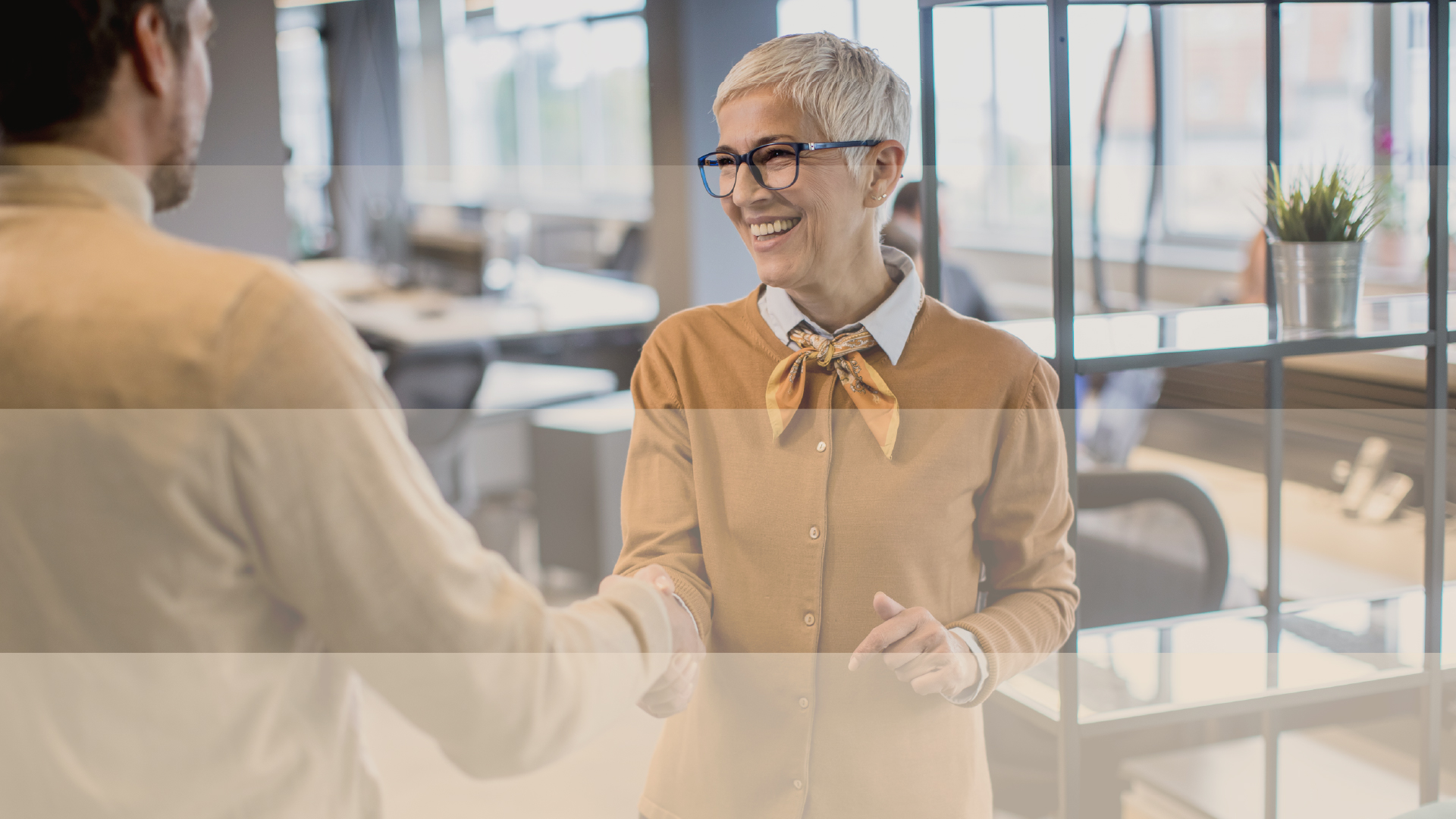 A handshake in a bright office