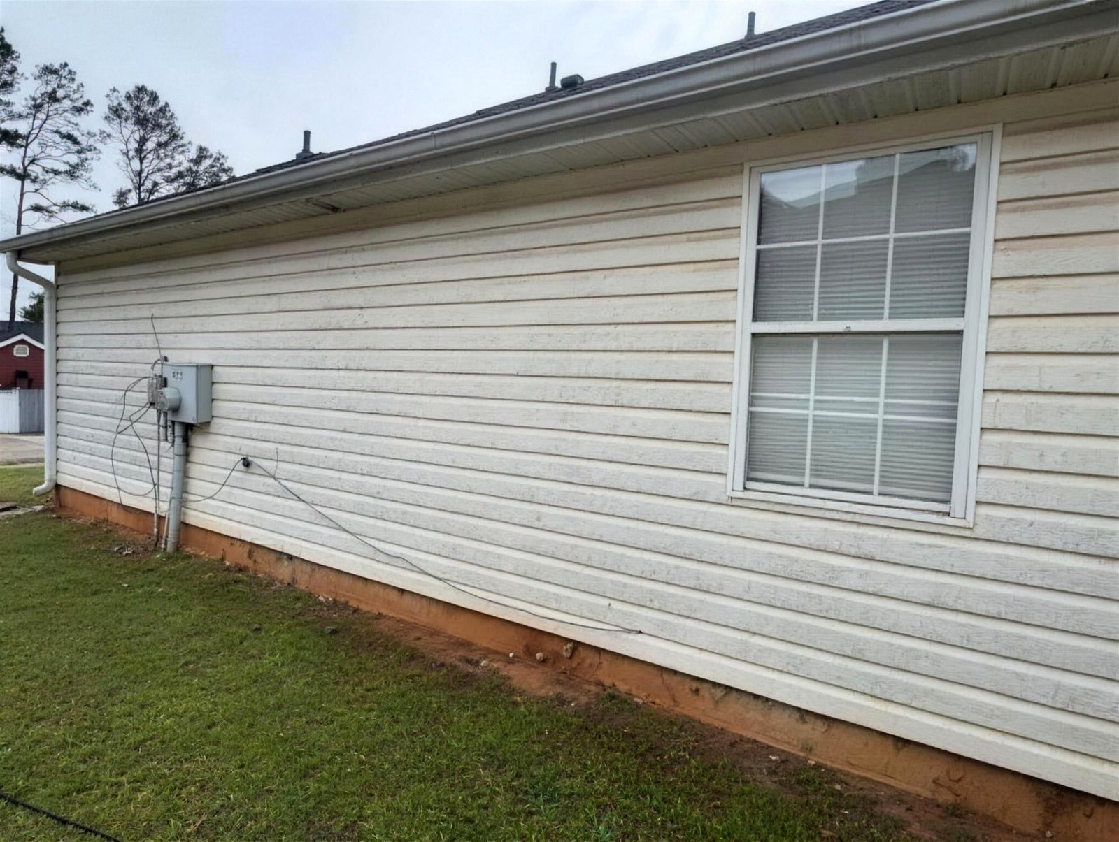 Side wall siding with heavy algae growth before a soft wash
