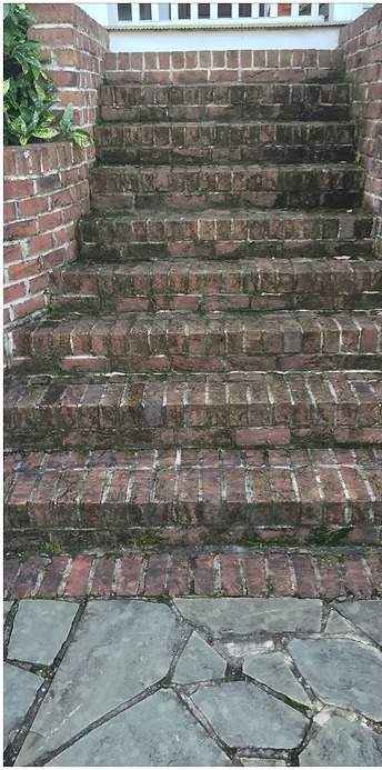Brick front steps dark green with moss and mildew before cleaning