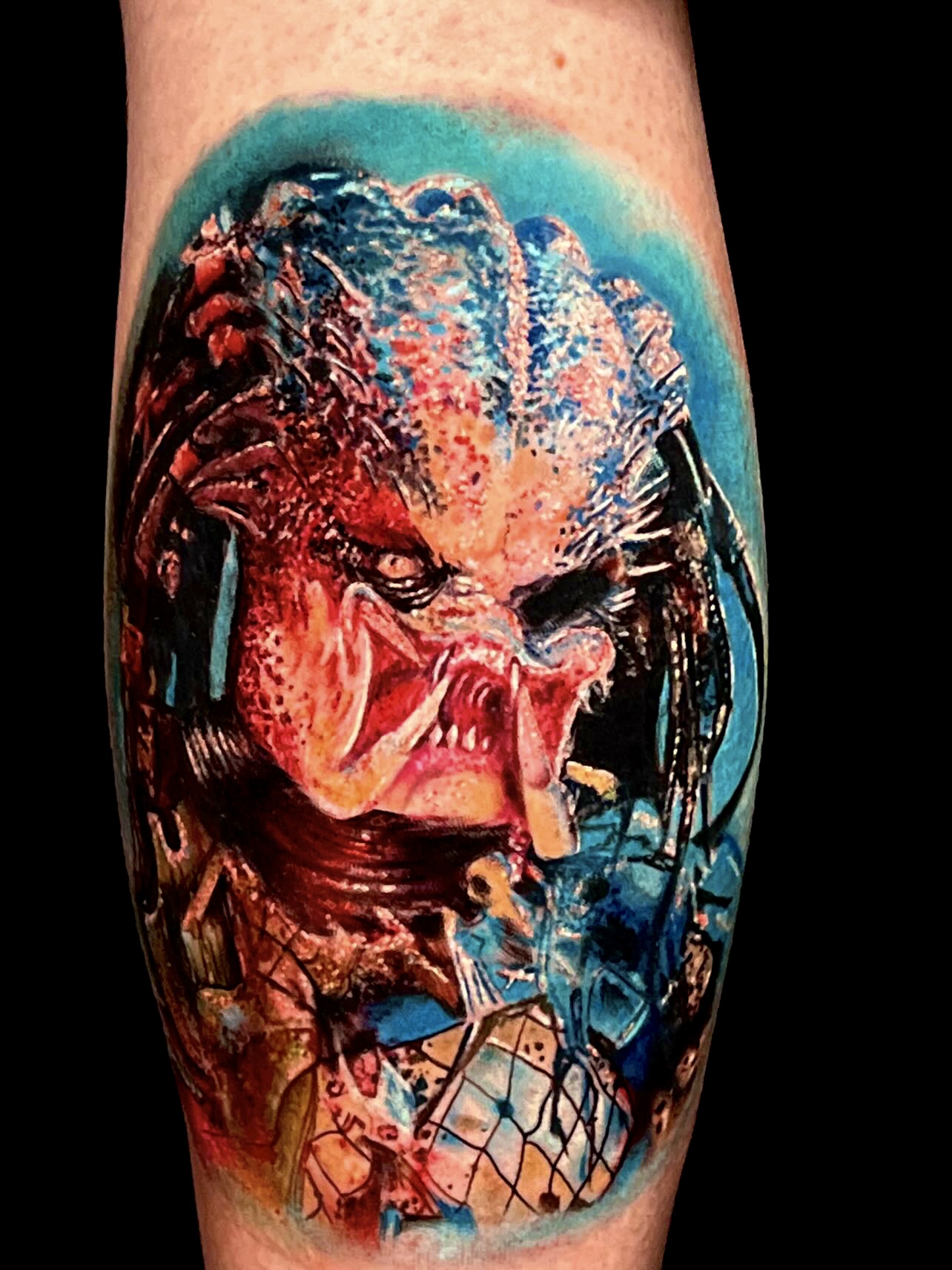 Predator Color Realism