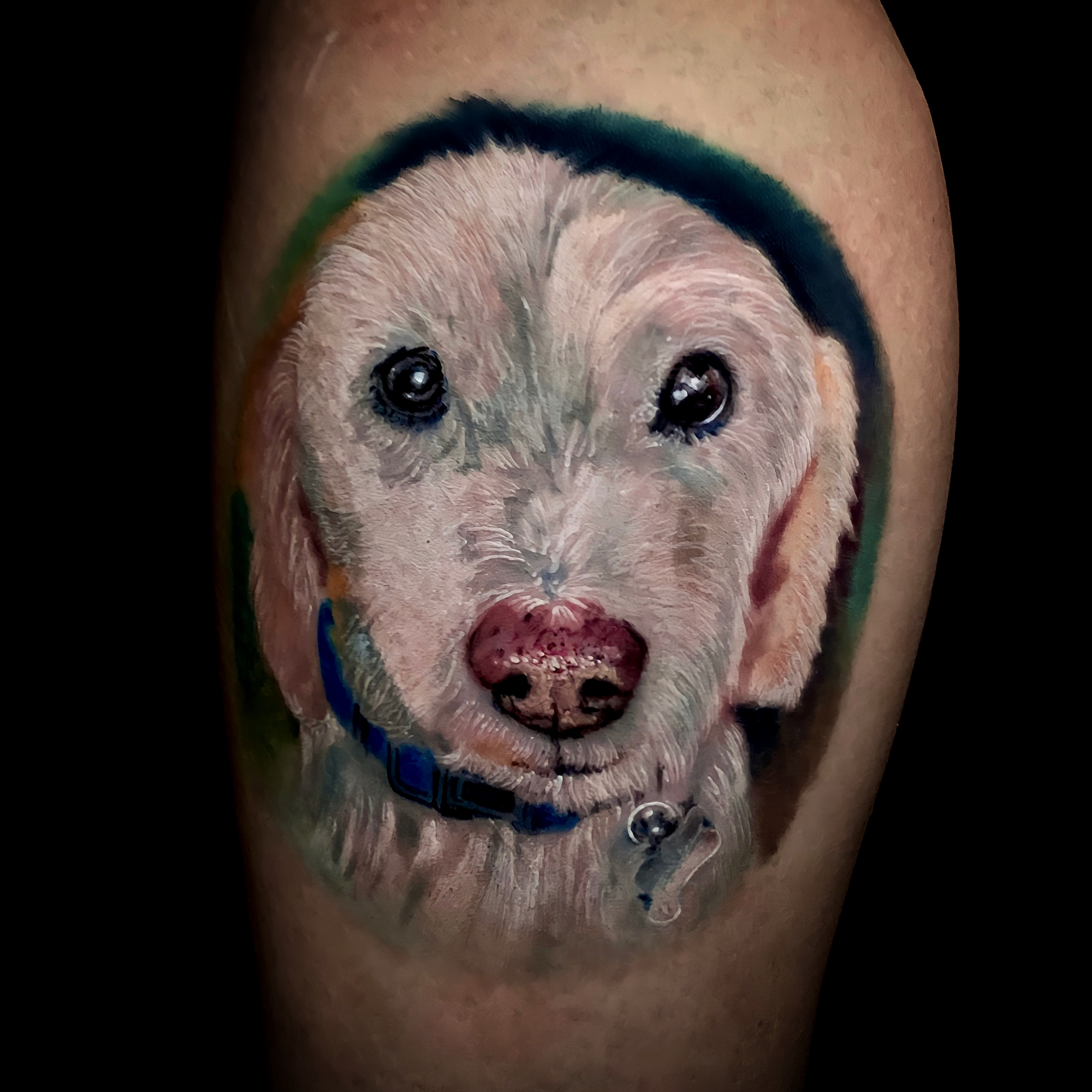 White Dog Pet Portrait