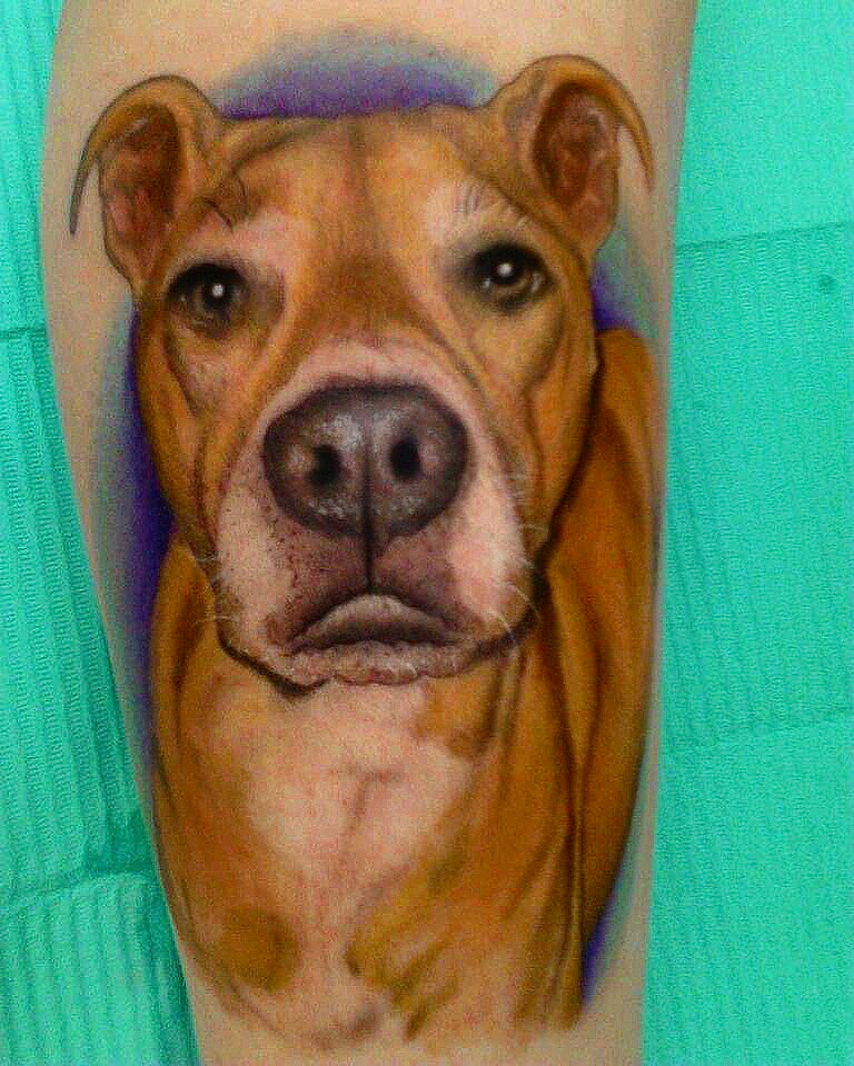 Pit Bull Color Pet Portrait