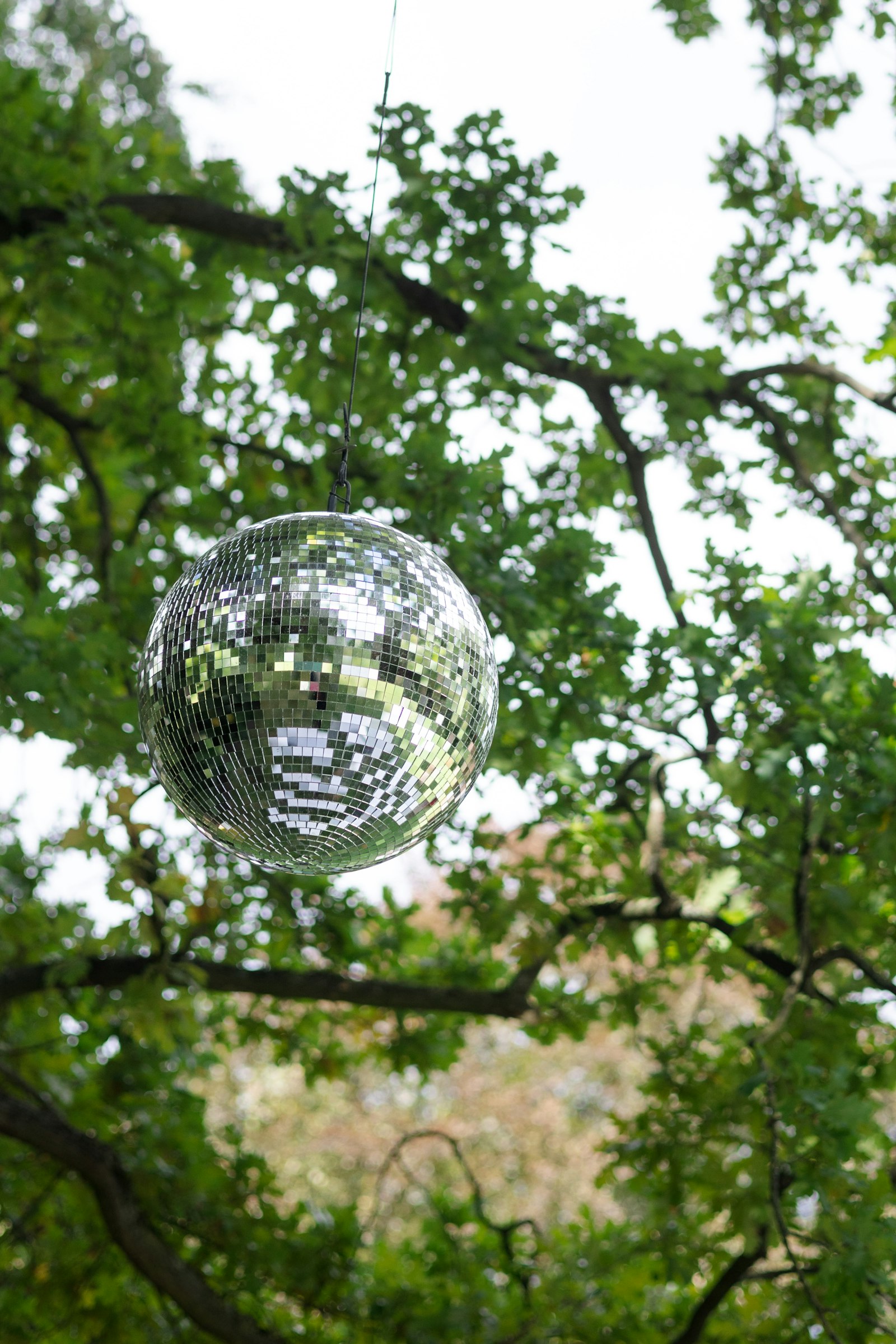 Disco ball hanging from a tree at an outdoor wedding