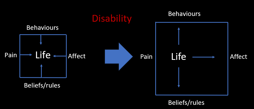 Diagram: a life squeezed by pain, behaviours, affect and beliefs, then a life expanding once goals are meaningful.