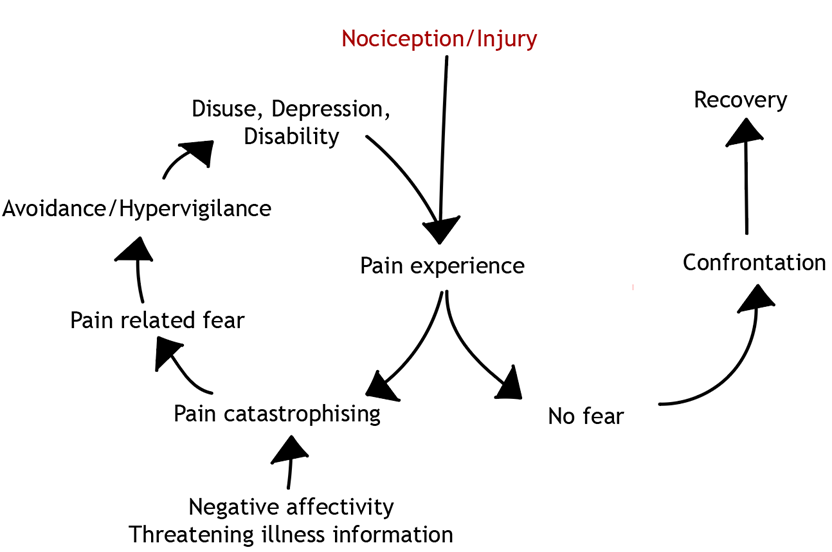 Diagram of the fear avoidance model, adapted from Vlaeyen and Linton (2012).