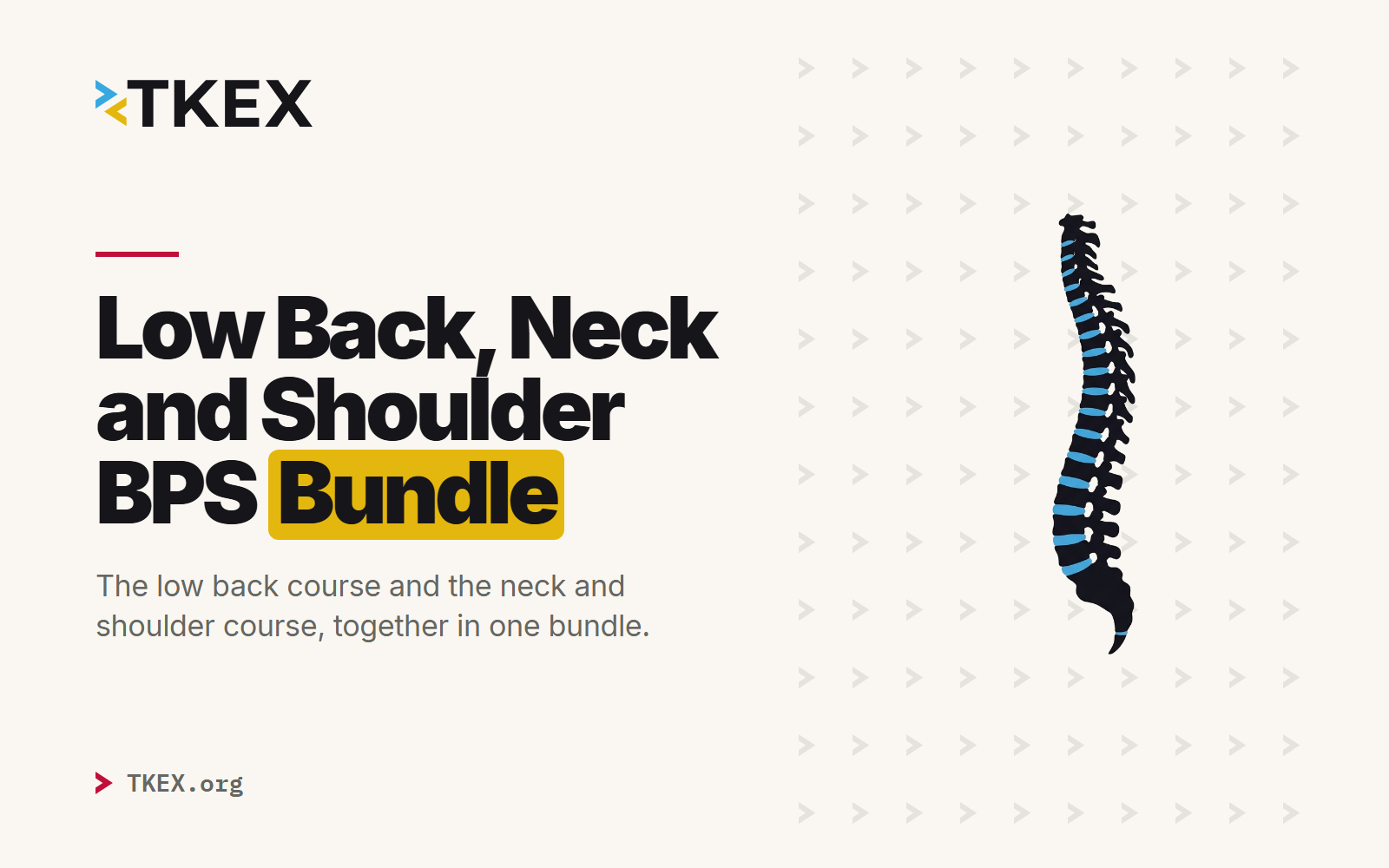 Low Back, Neck and Shoulder Bundle