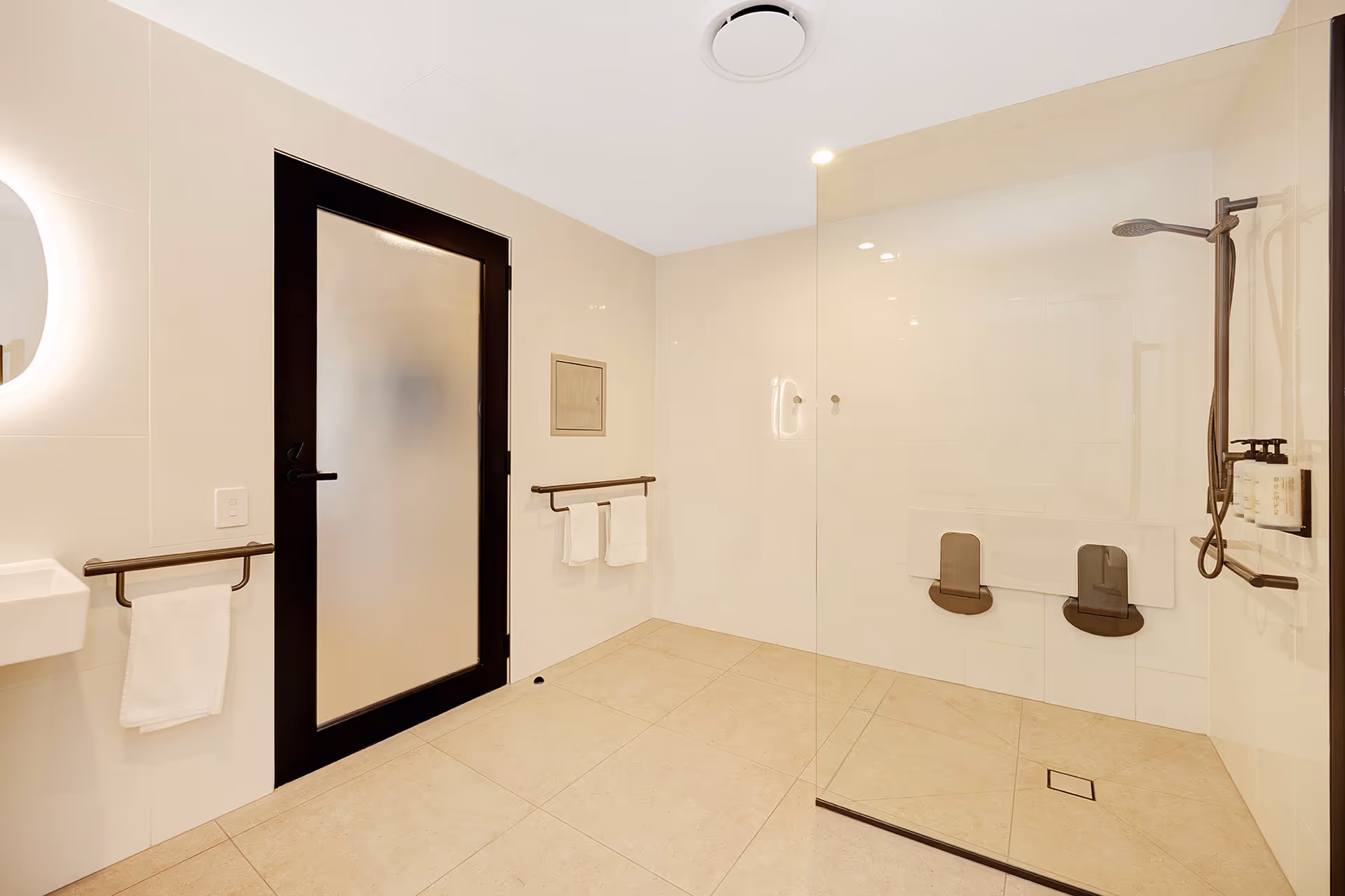 The roll-in shower in the accessible bathroom, with grab rails and a wide doorway.