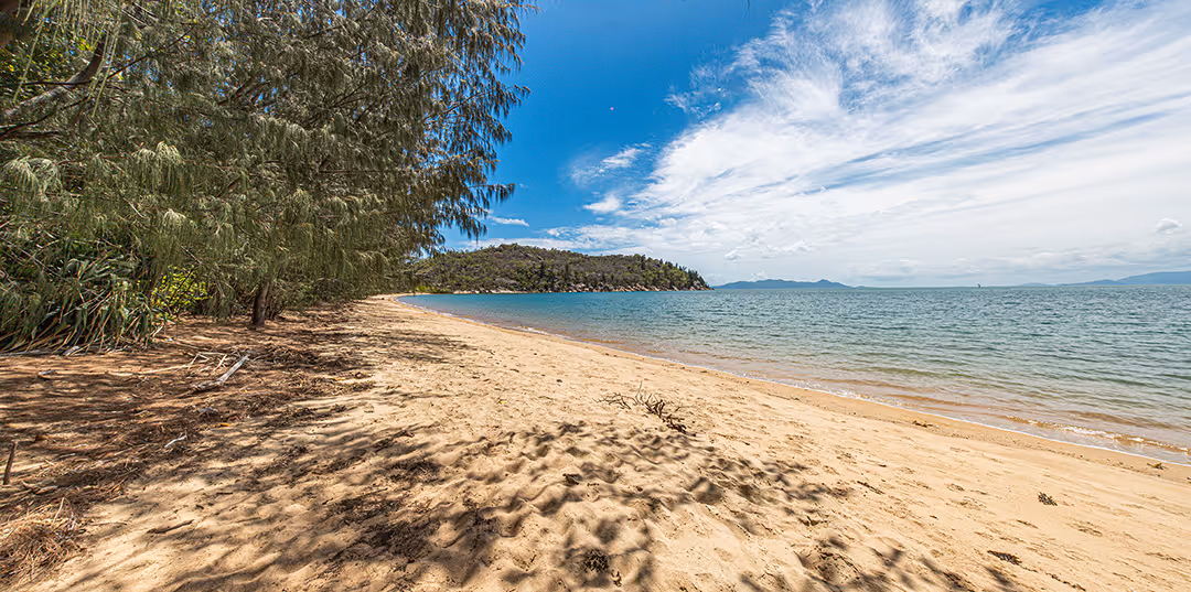 A quiet stretch of Magnetic Island beach shaded by overhanging trees.