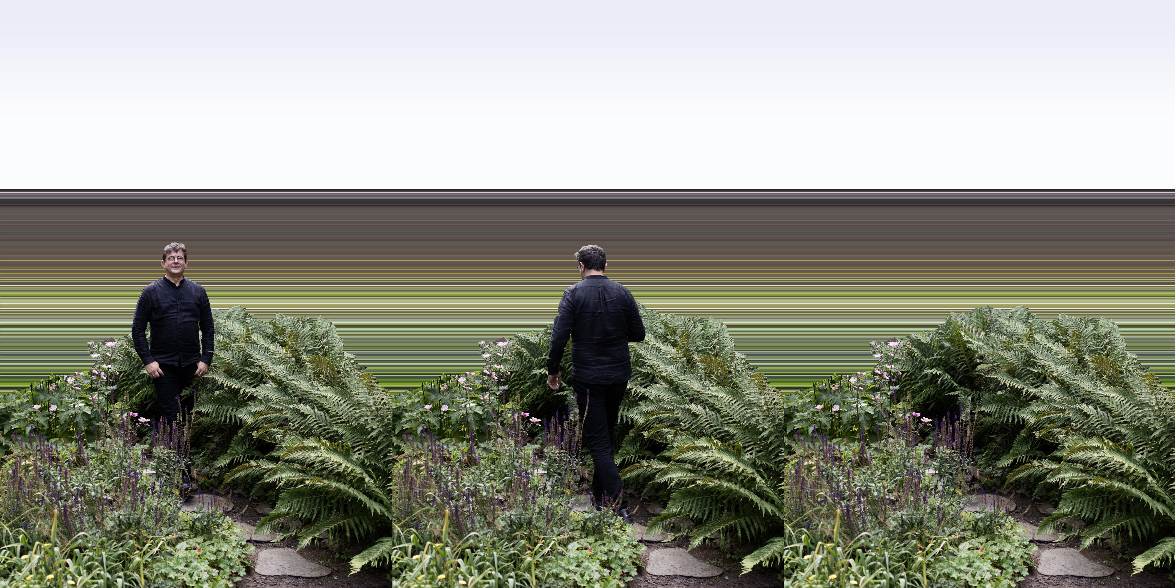 Triptych image of a man wearing a black shirt and pants standing among lush green ferns and flowering plants on a stone pathway; the man appears facing front in the left panel, walking away in the middle, and the right panel shows the surrounding garden without the man.