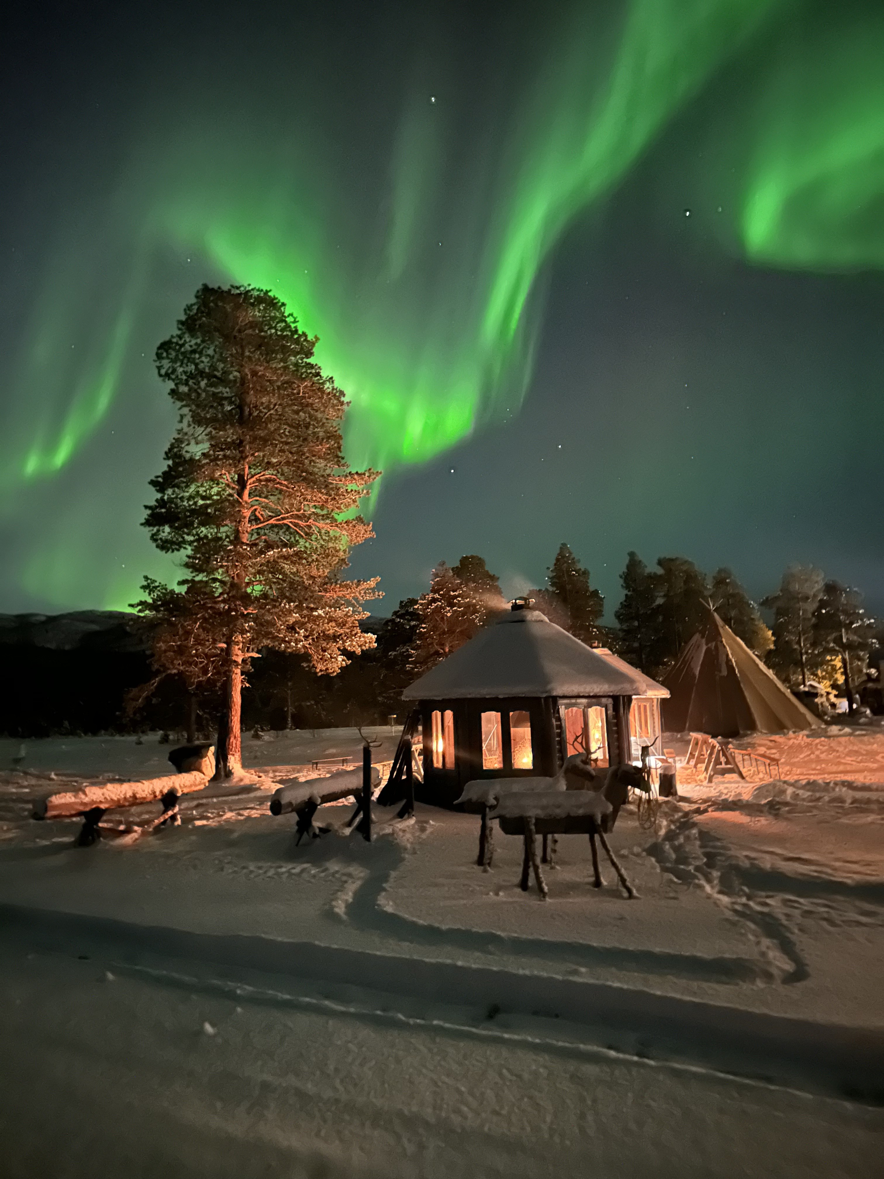 Nordlyscamp med div aktivteter. 