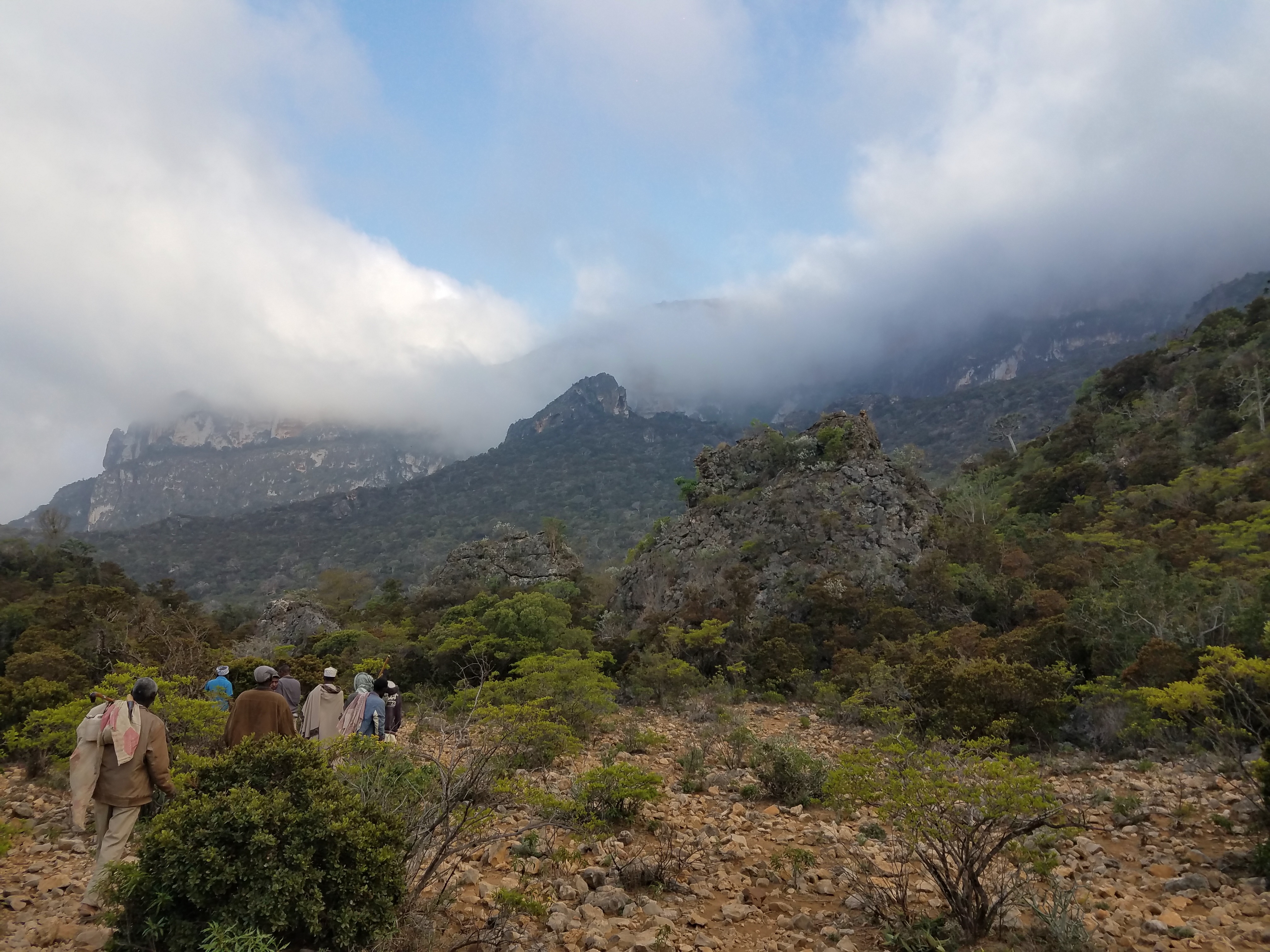 Field photo