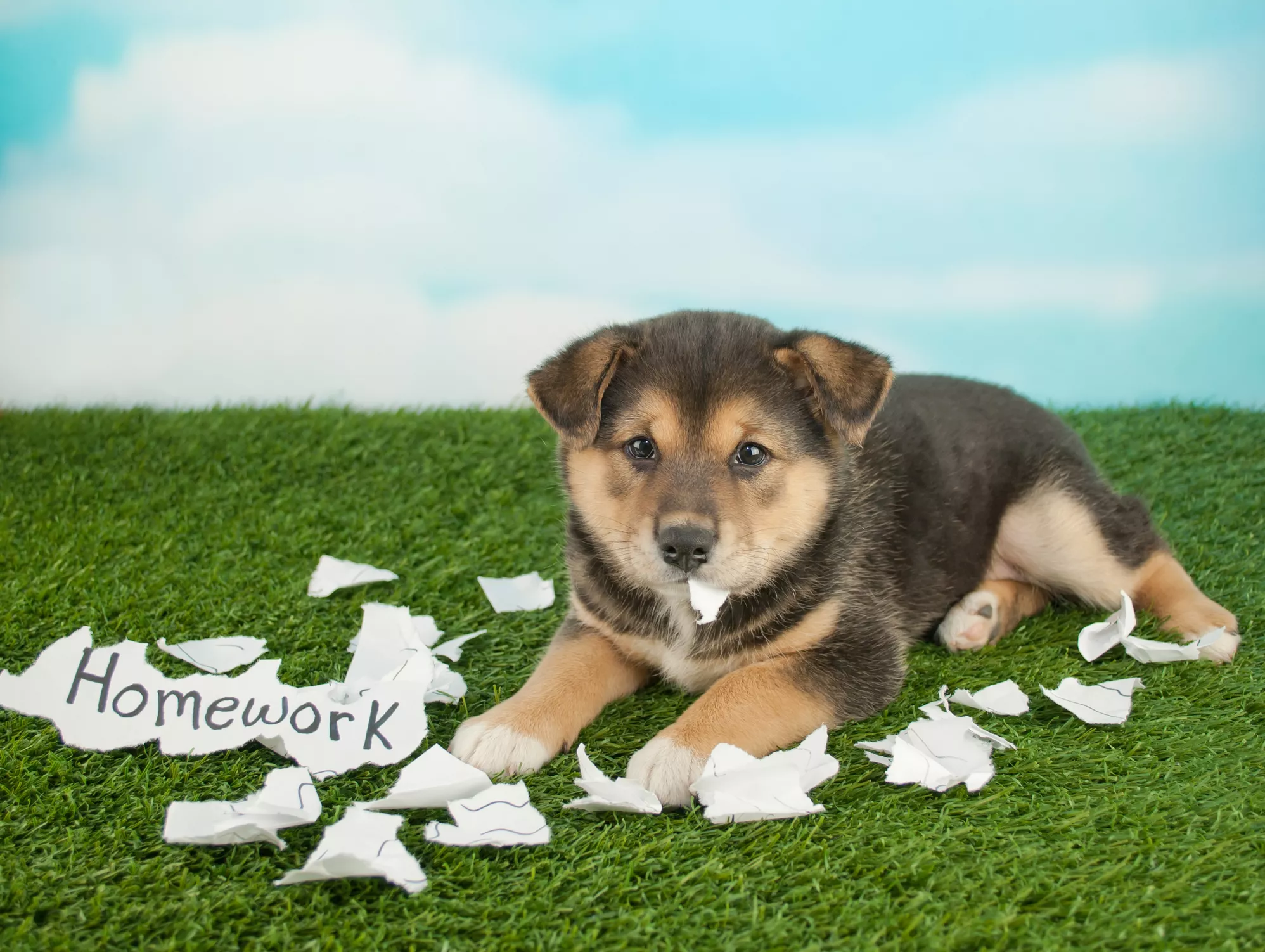 Tips to Make Homework Stress-Free for Parents and Children