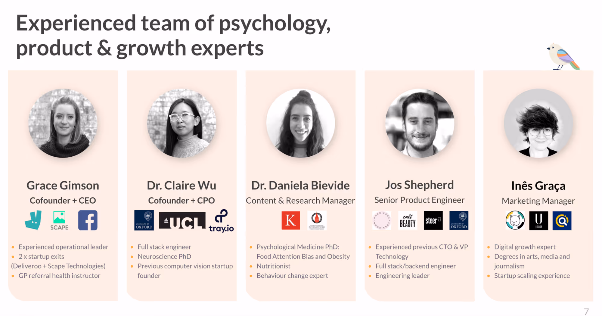 pitch deck Team slide