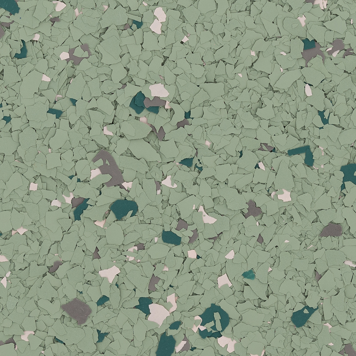 Sedum
