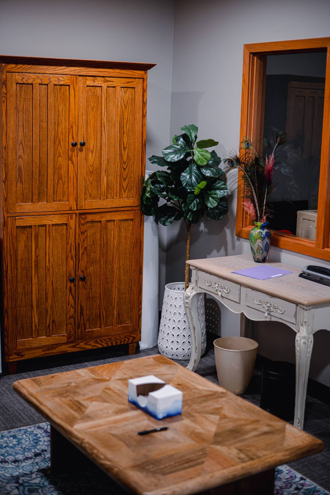A quiet room with a wooden cabinet, a potted plant, a small white desk, and a coffee table with a box of tissues.