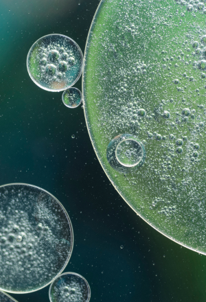 Green droplets and bubbles from Izote’s original website imagery