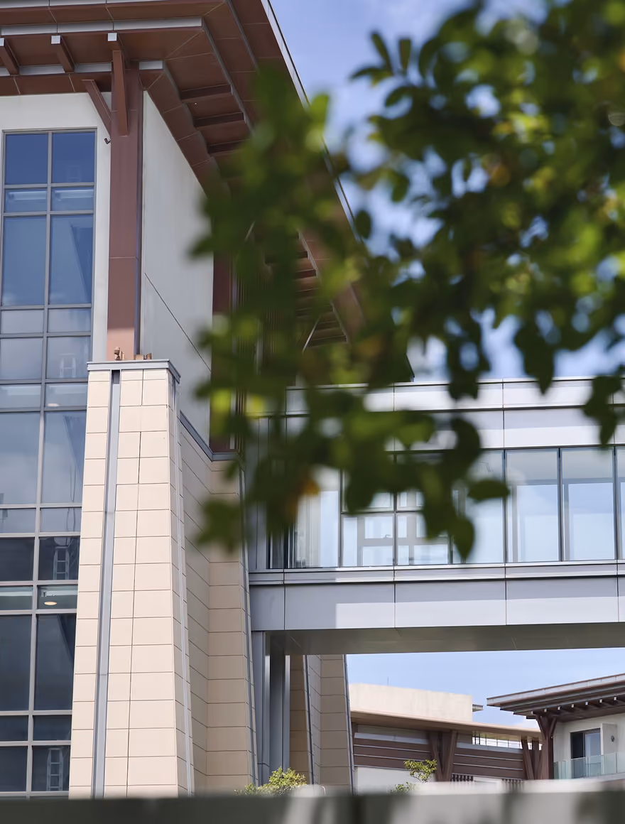Korza office