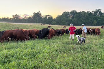 Crane Dance Farm, LLC