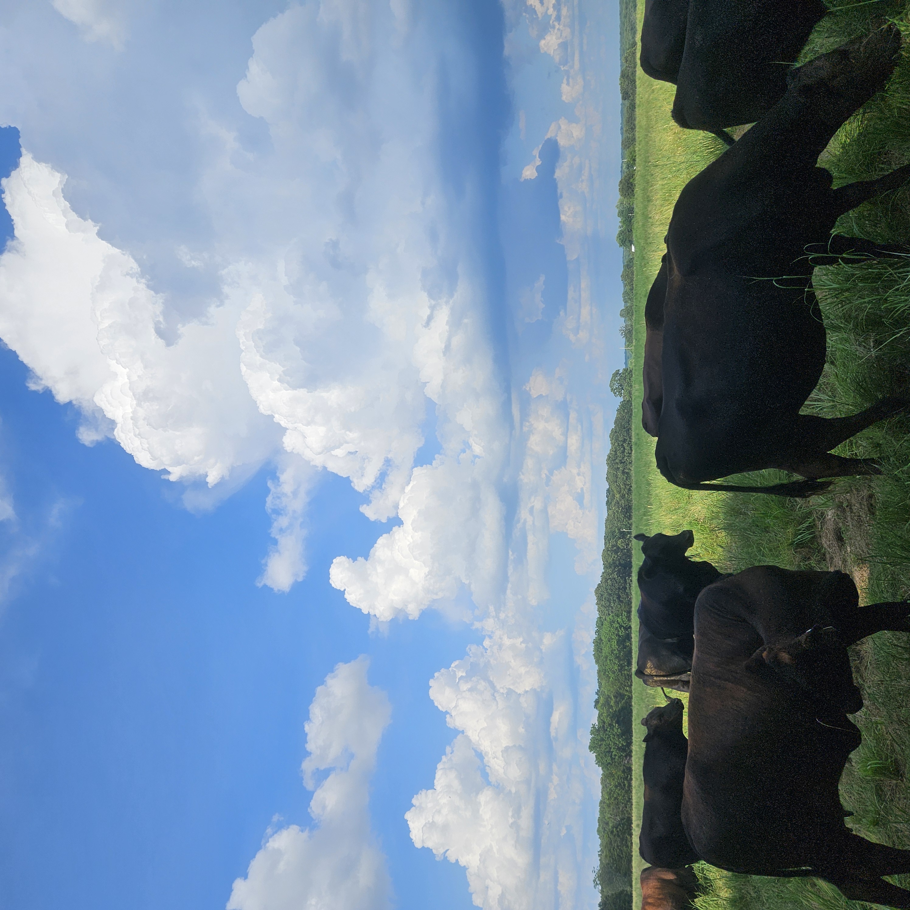 Nagl Farm Products LLC