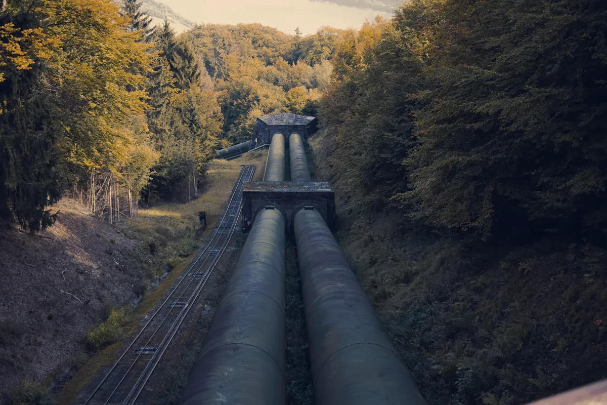Twin pipelines running through a forest