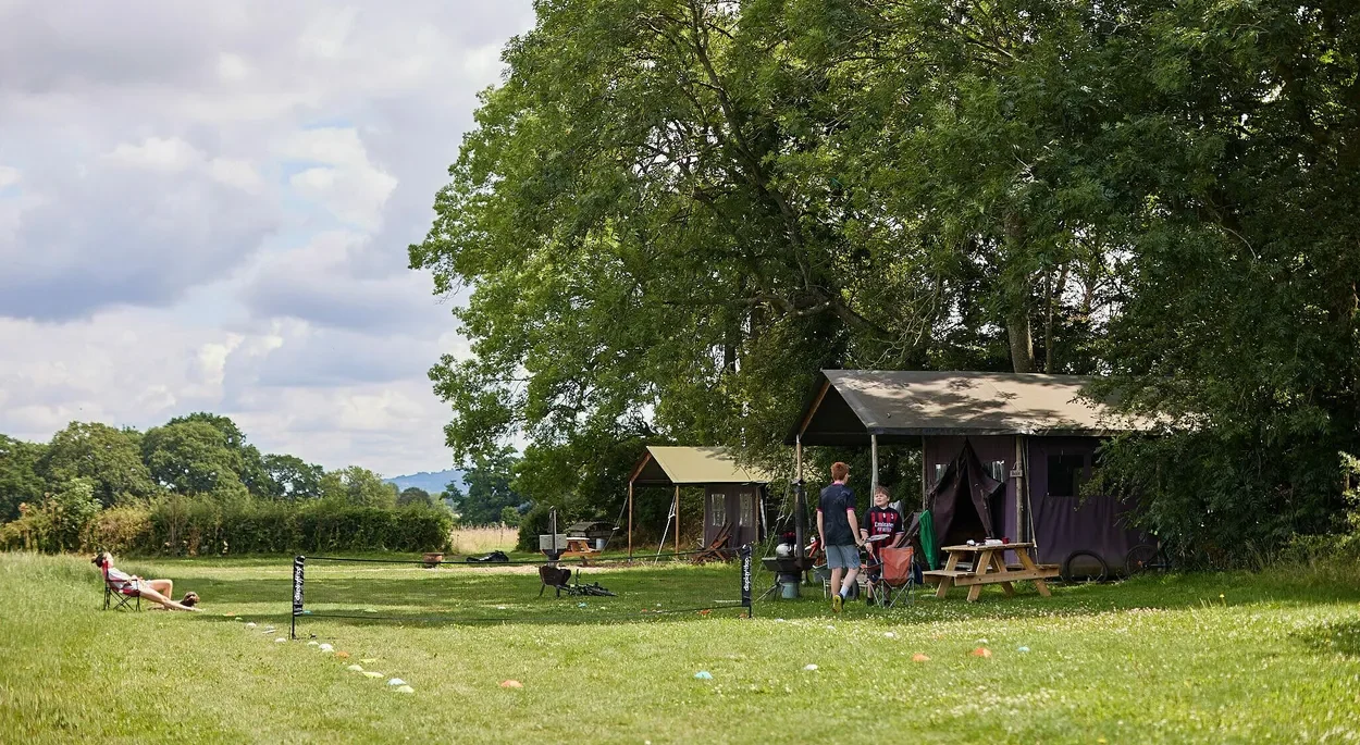 Canvas hideaways beneath mature trees at Moor Farm