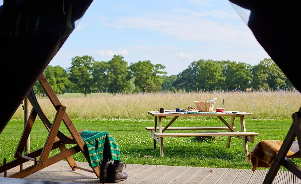 Breakfast table looking out from a canvas hideaway across the meadow