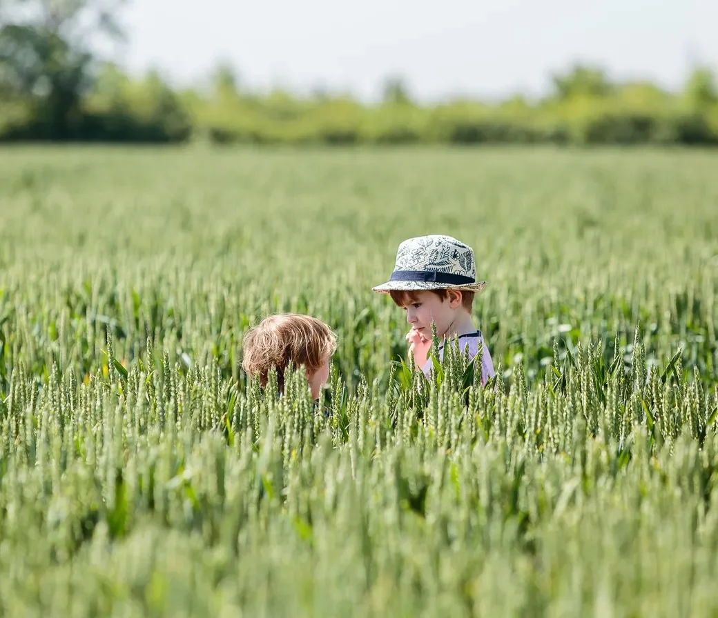Play all day at Moor Farm