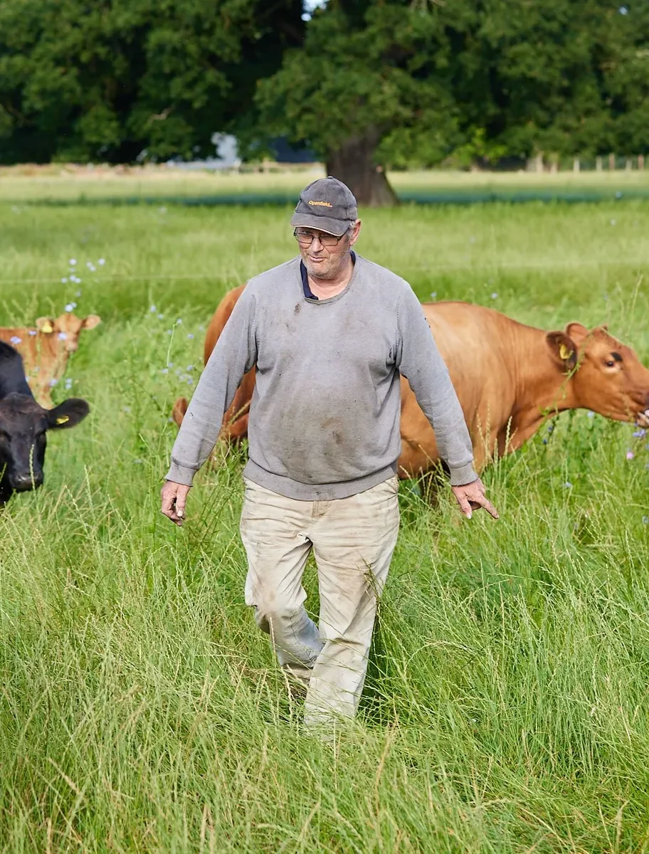 Richard Watts walking through a meadow with cattle