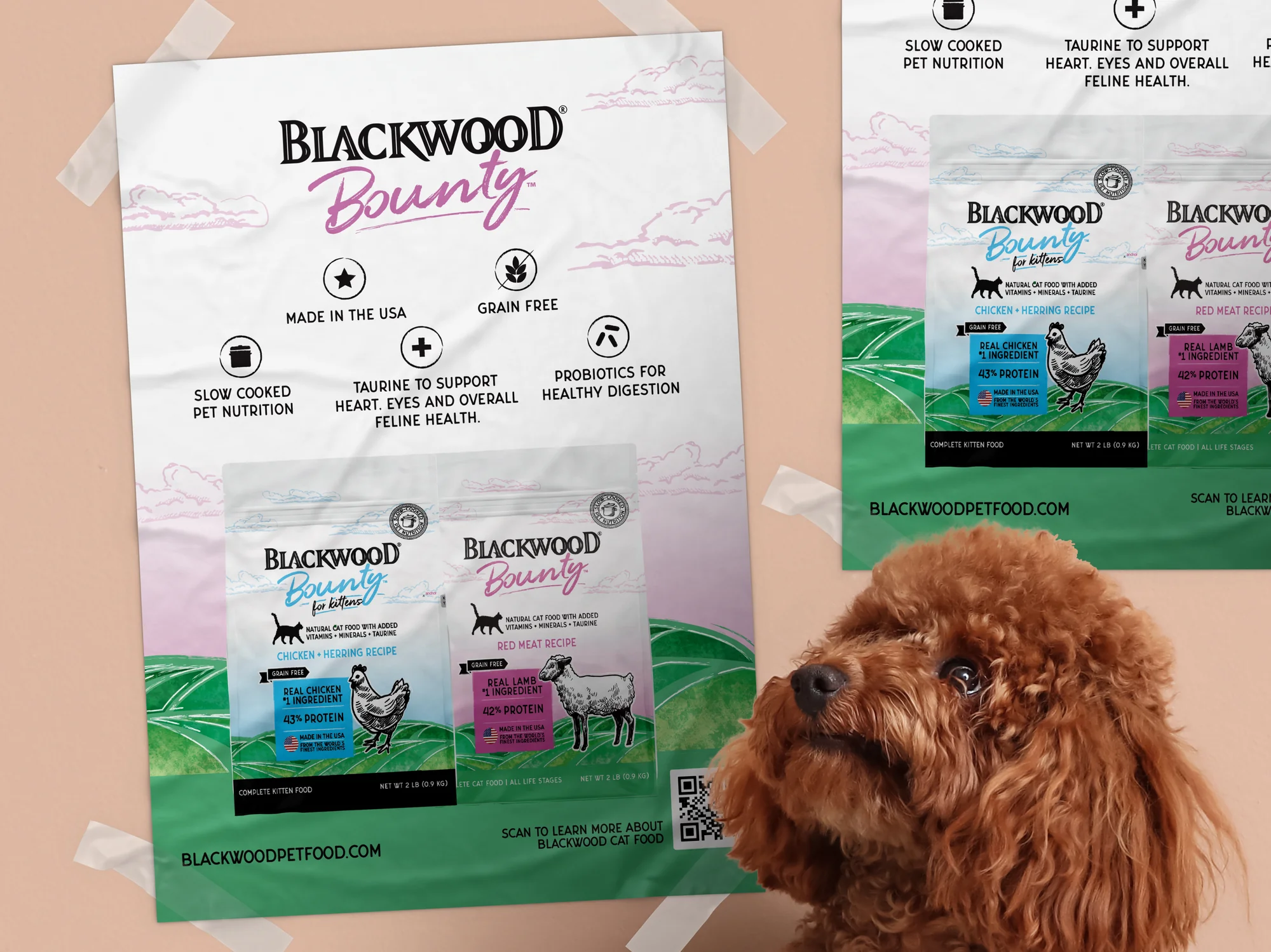 Posters work for Pet brands