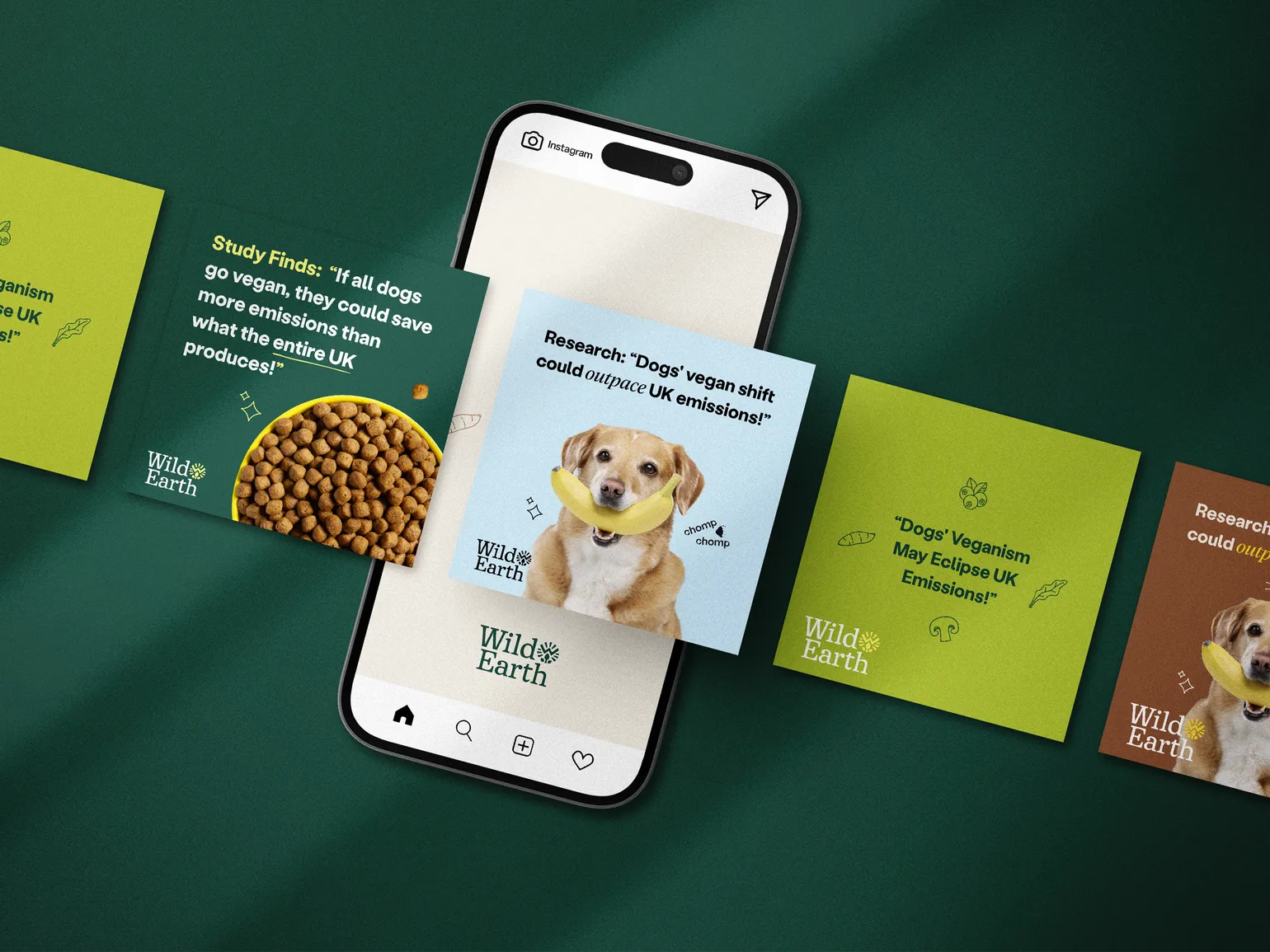 Social work for Pet brands