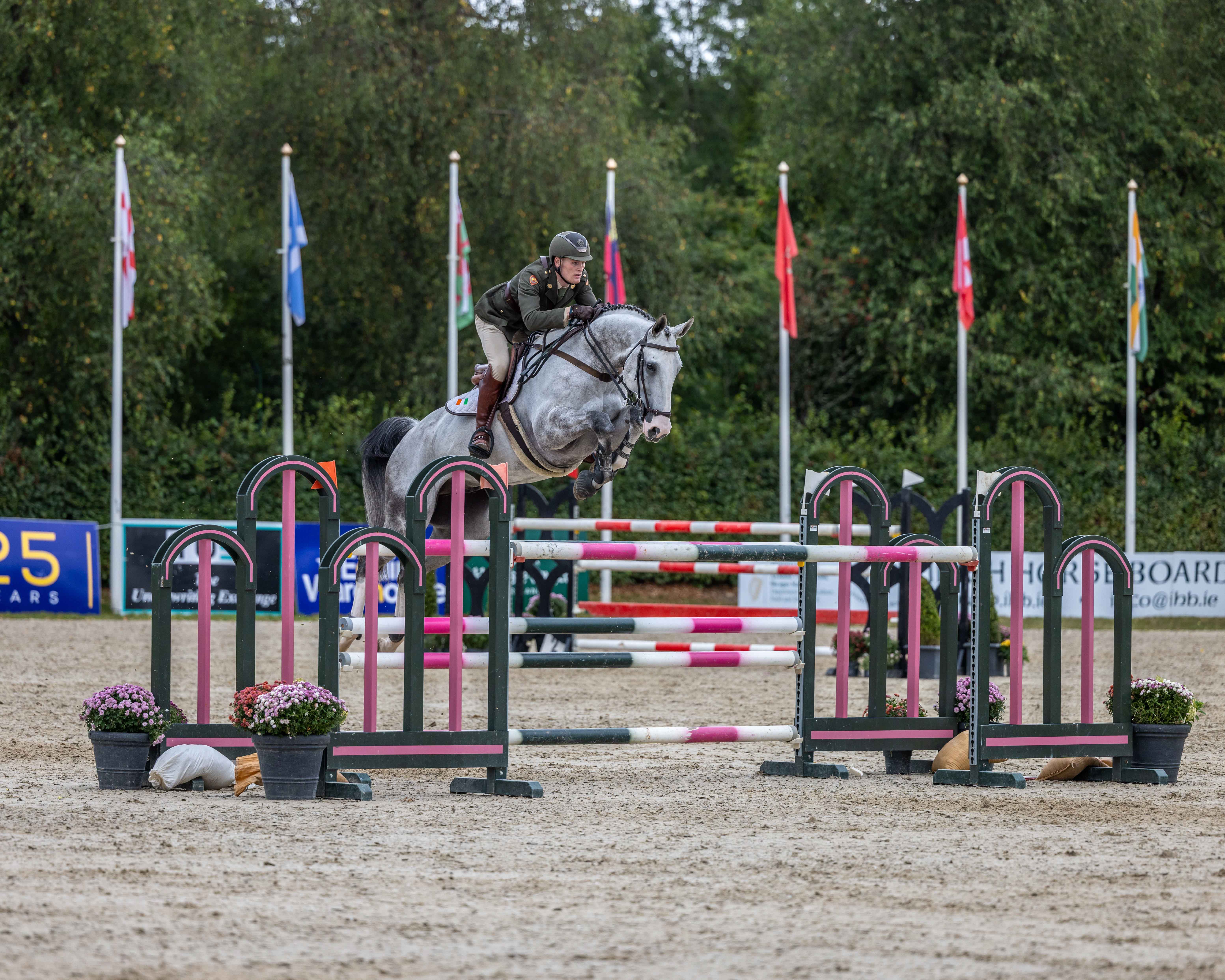 Show jumping horse and rider competing over a fence