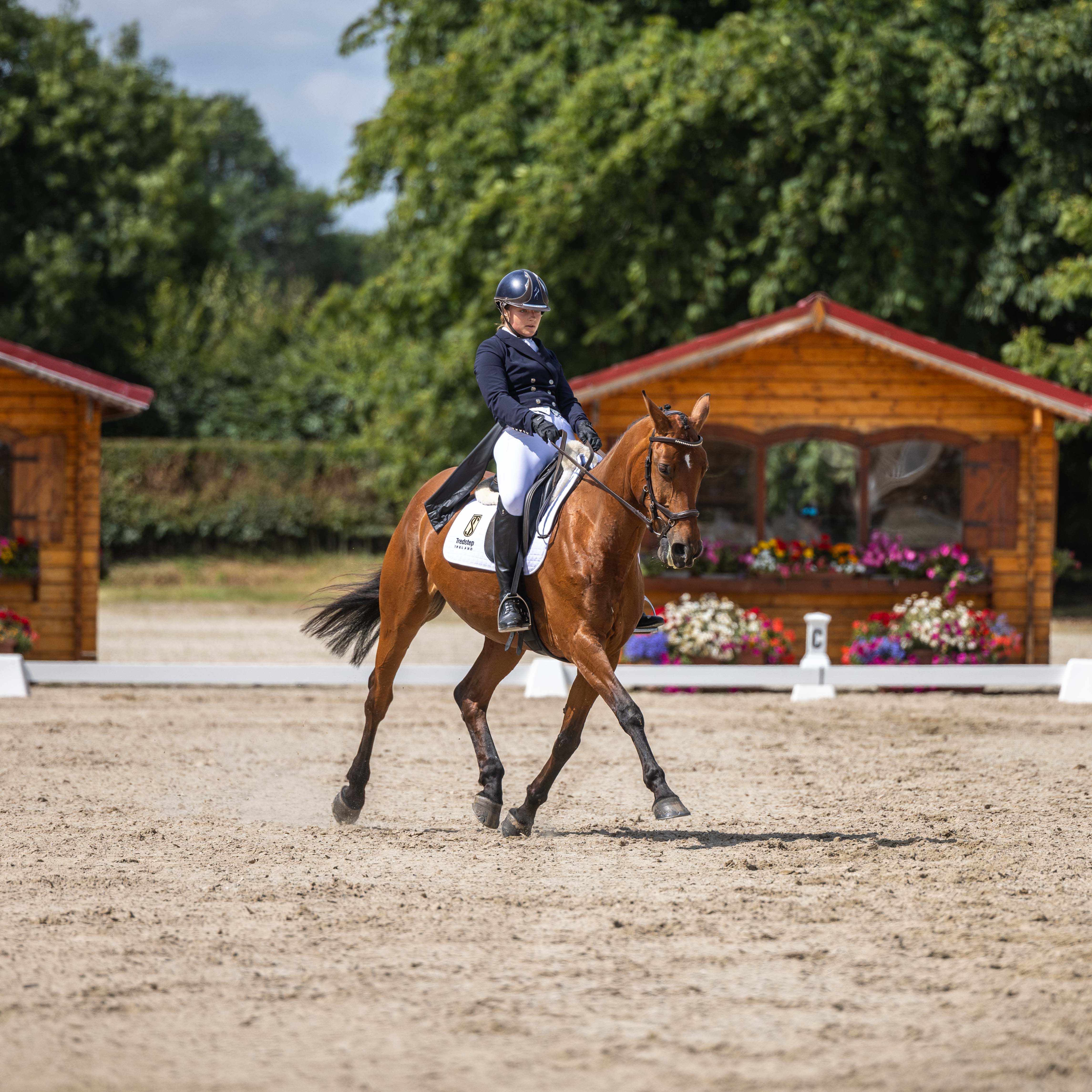 Dressage horse and rider competing in an outdoor arena