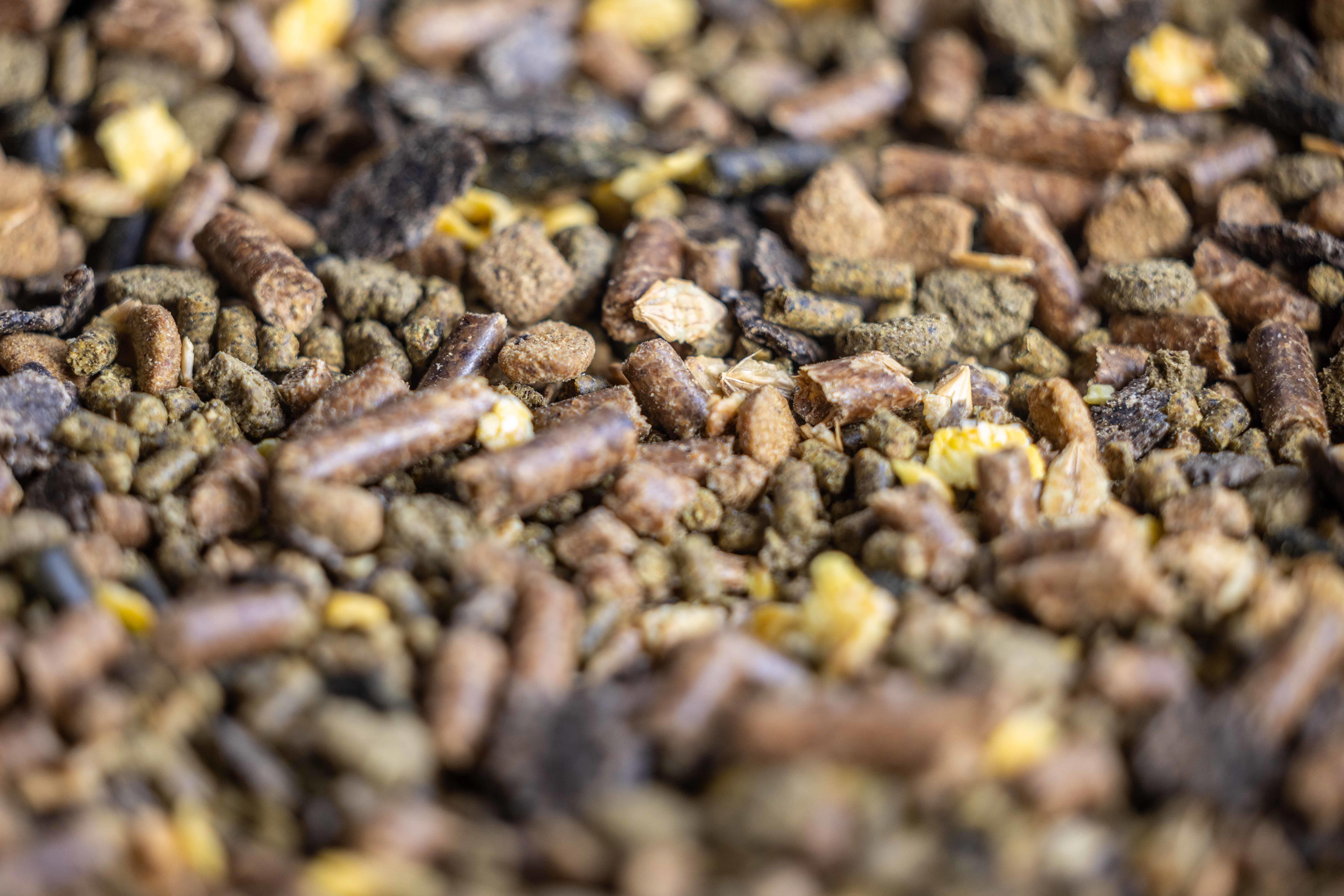 Close-up of horse feed pellets