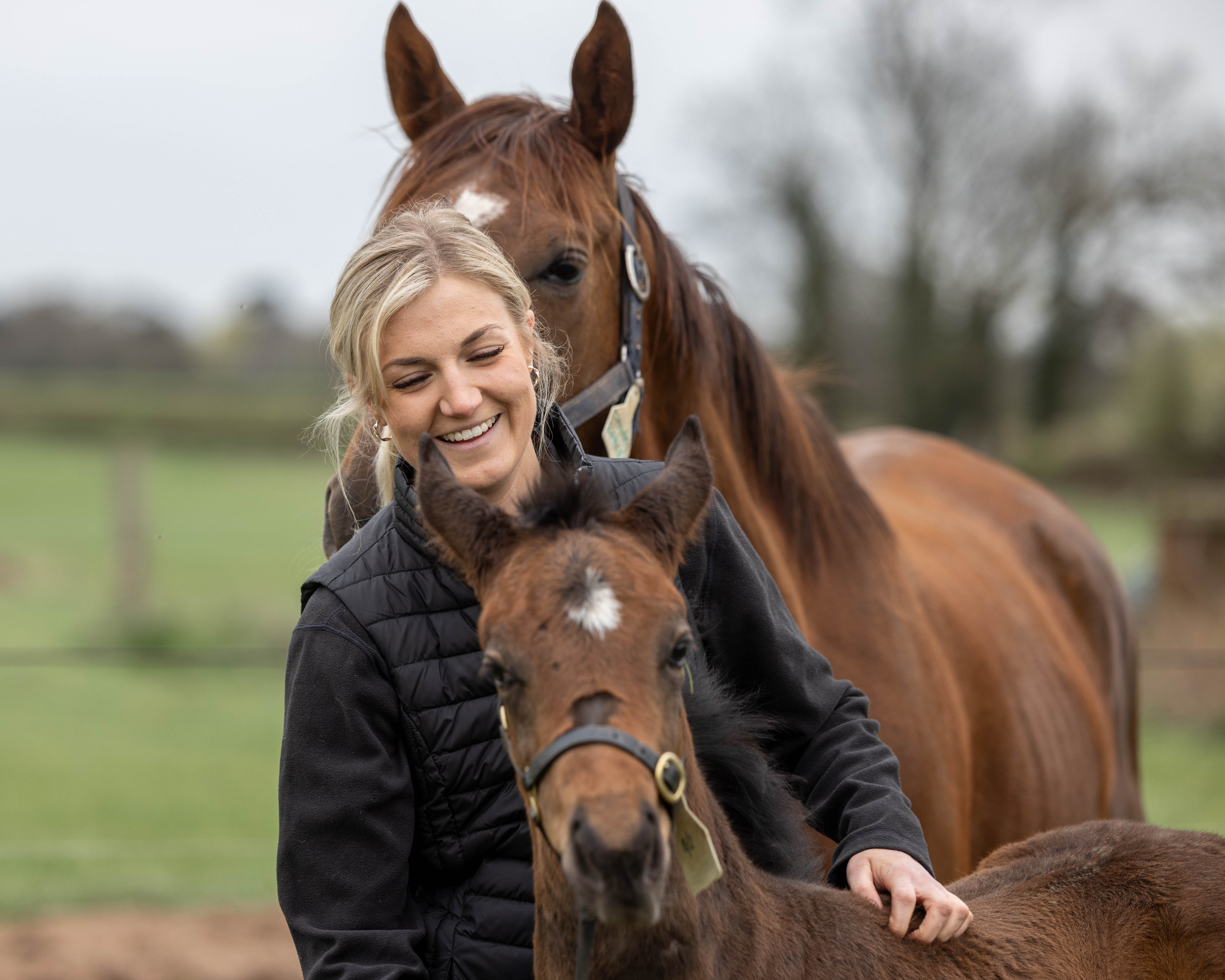 Woman with a horse and foal in a field