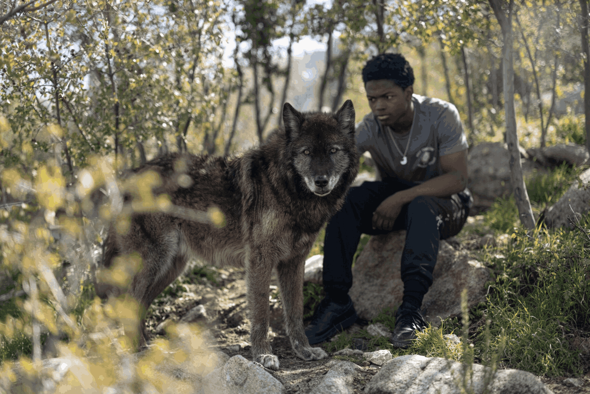 Reality Center youth program with Wolf Connection.
