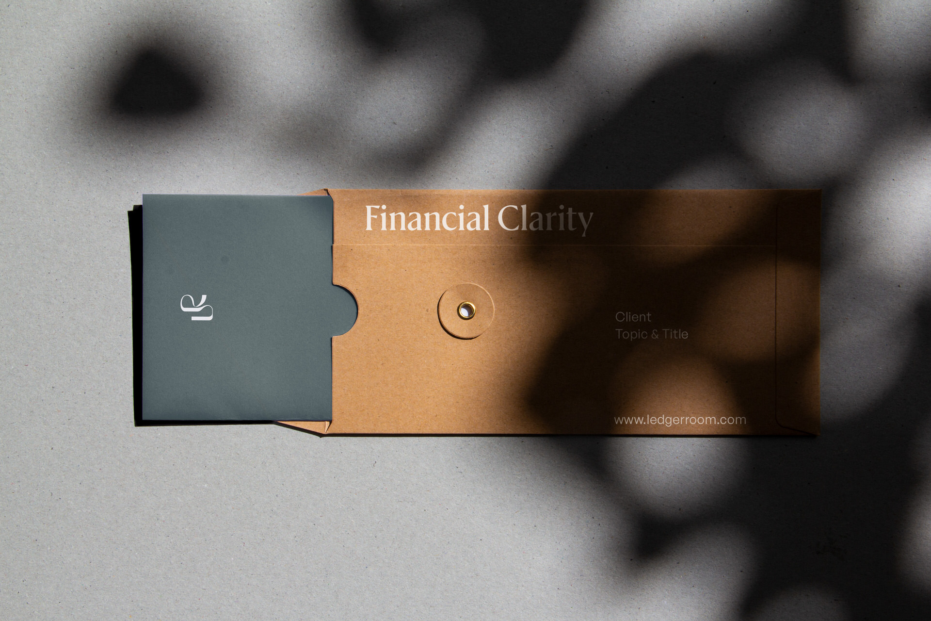 Ledger Room — Financial Clarity envelope and card