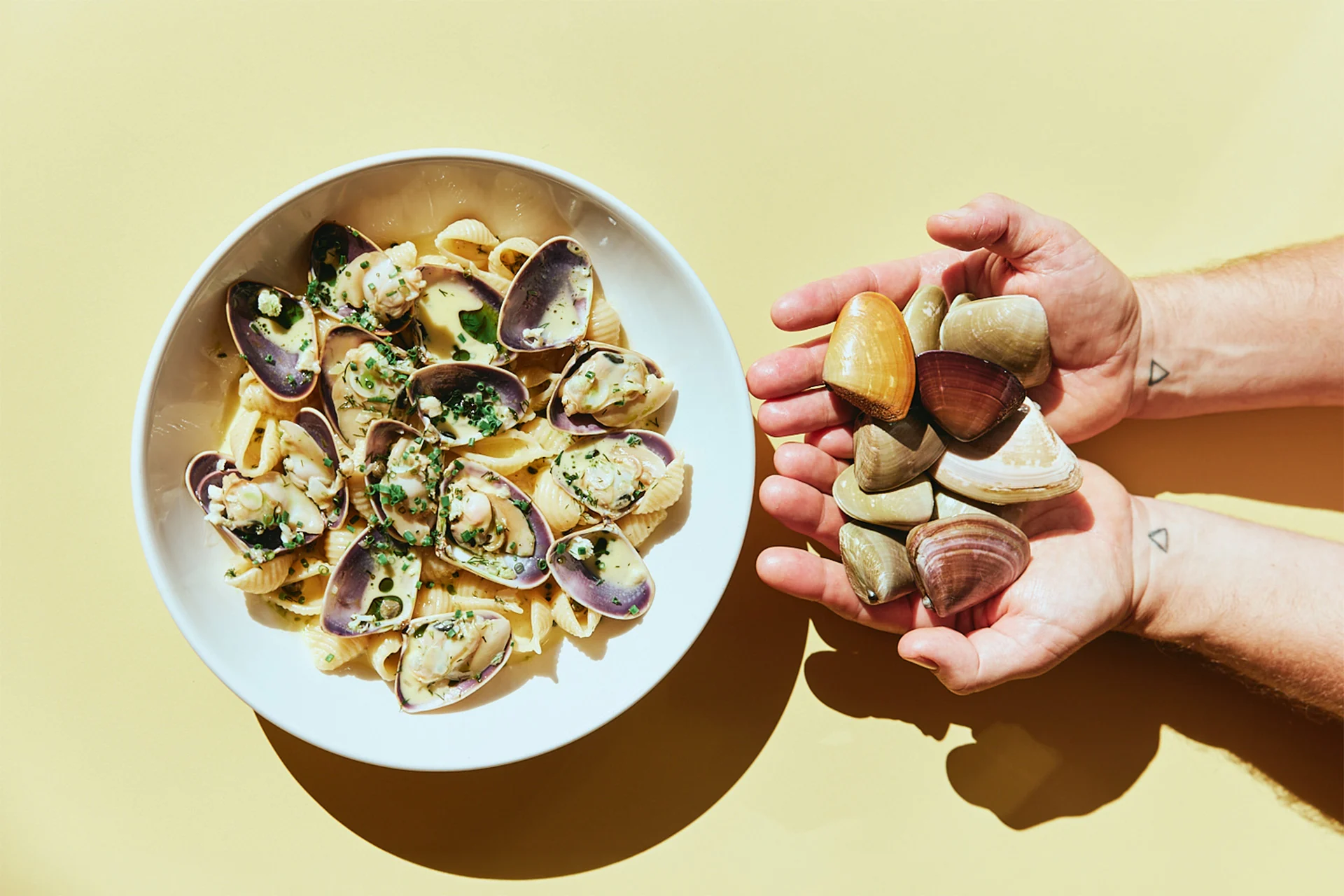 Bowl of clam pasta beside a pair of hands holding fresh clams
