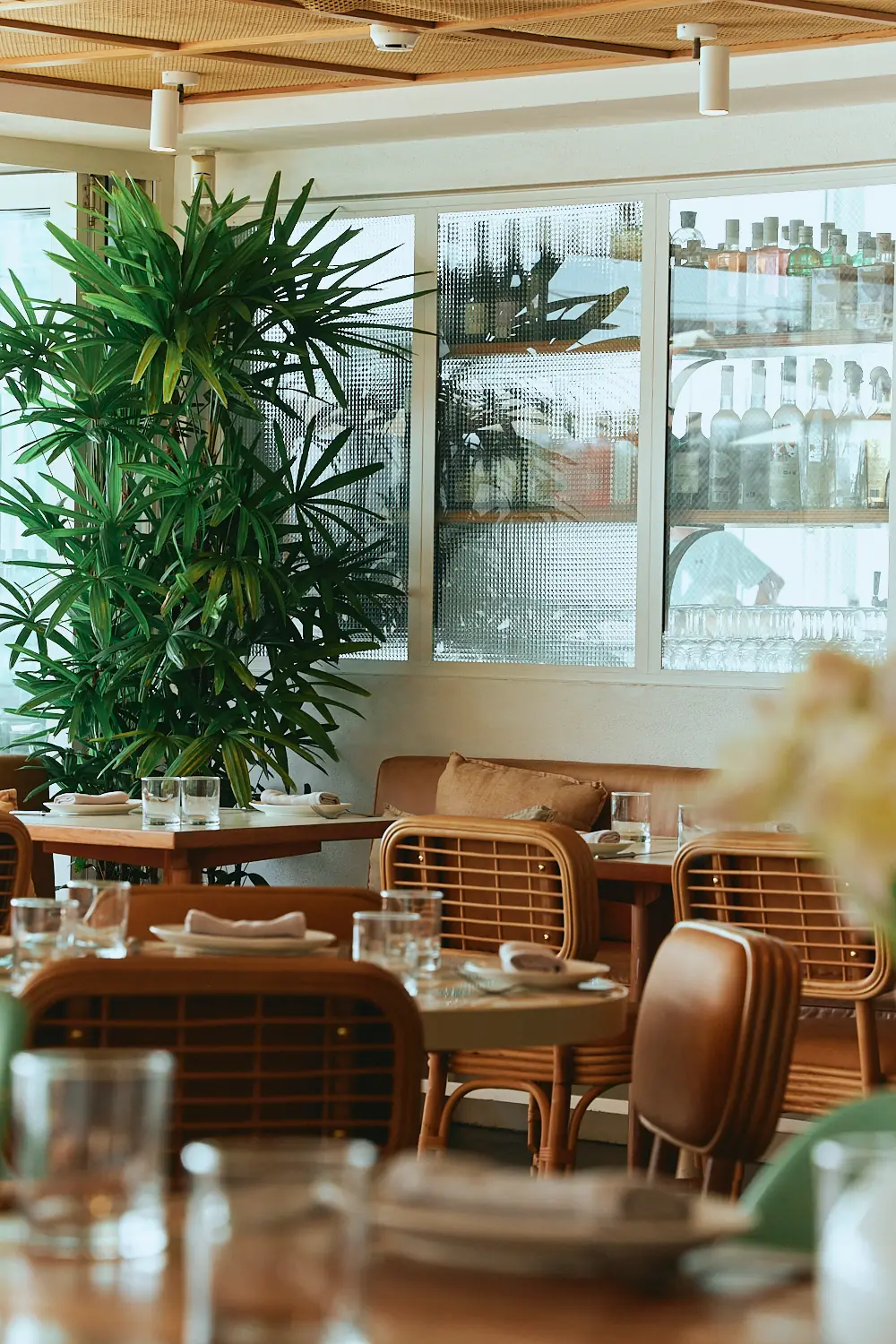 Rattan chairs and palms in The Tropic dining room, with a backlit bar behind